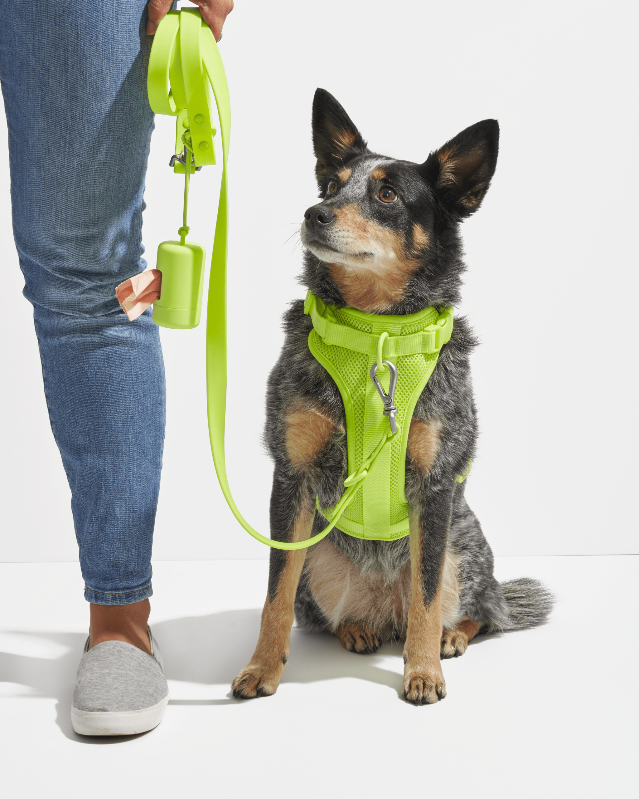 Poop Bag Carrier - Image 29