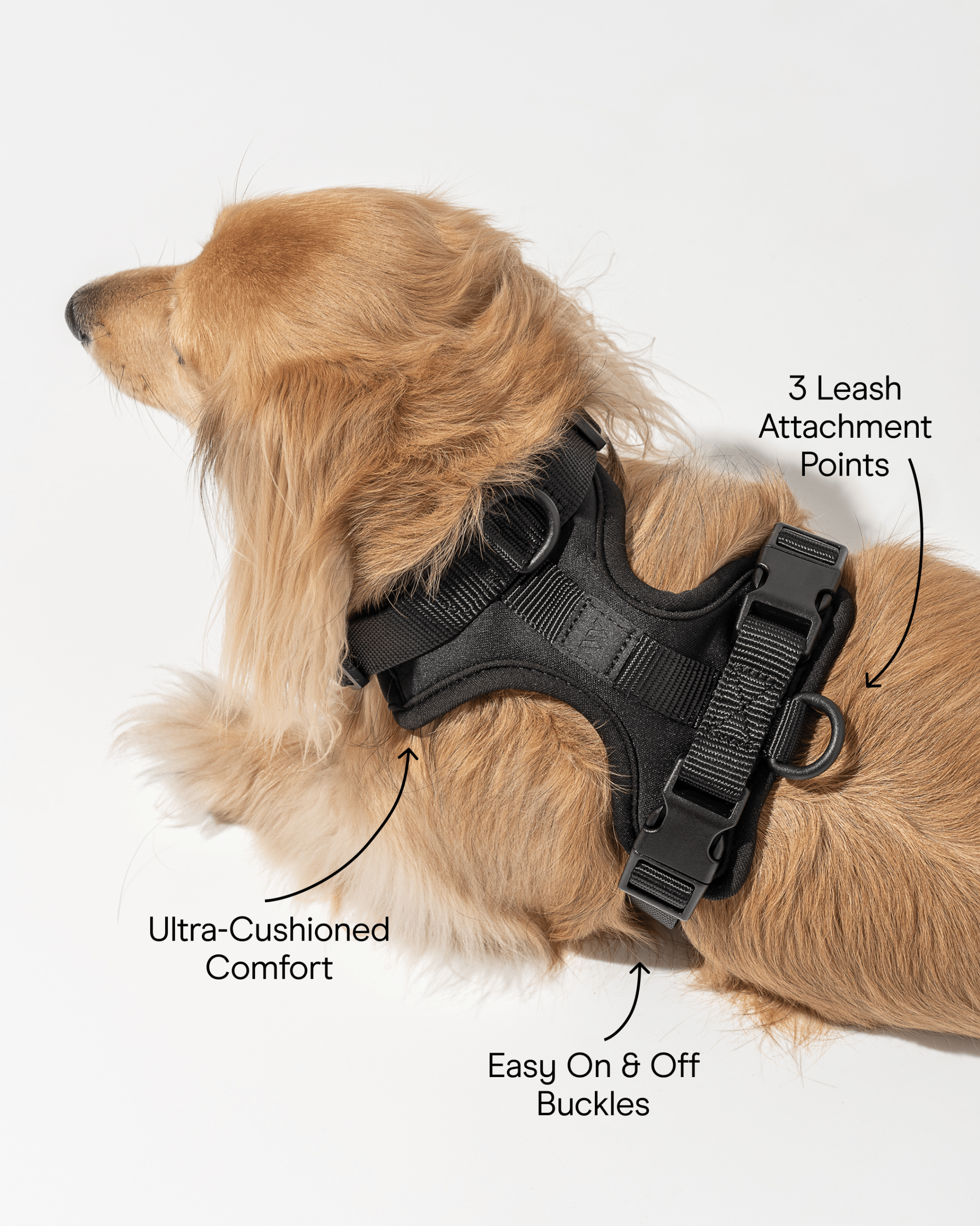 Cushioned Dog Harness - Image 48