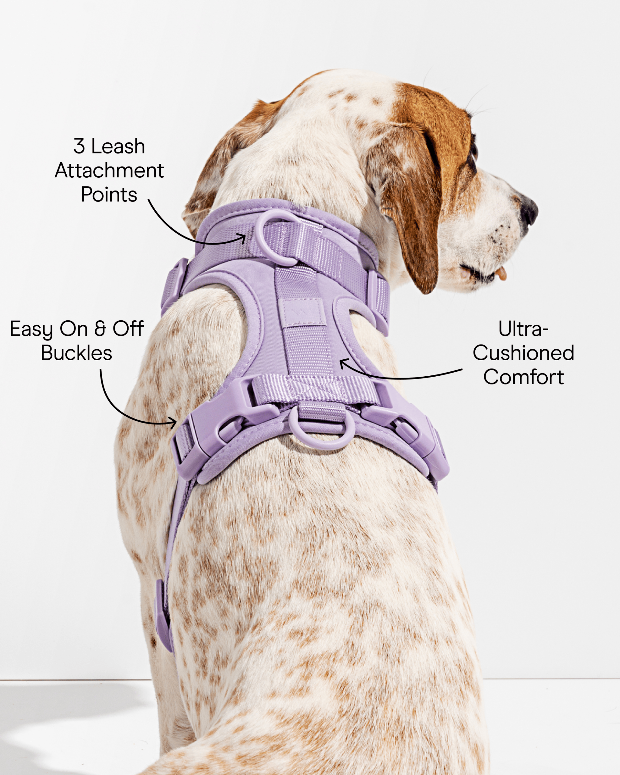 Cushioned Dog Harness - Image 27