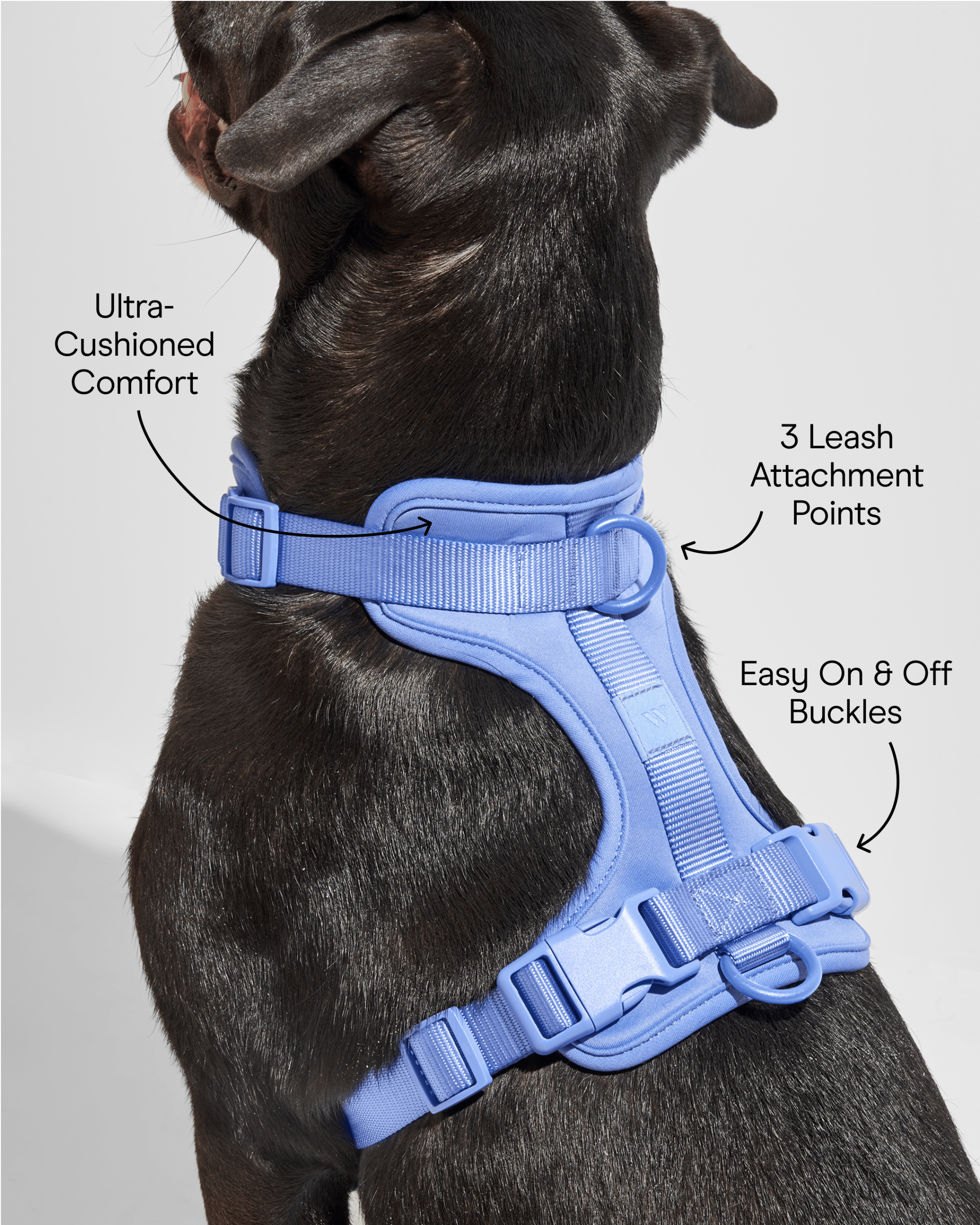 Cushioned Dog Harness - Image 31