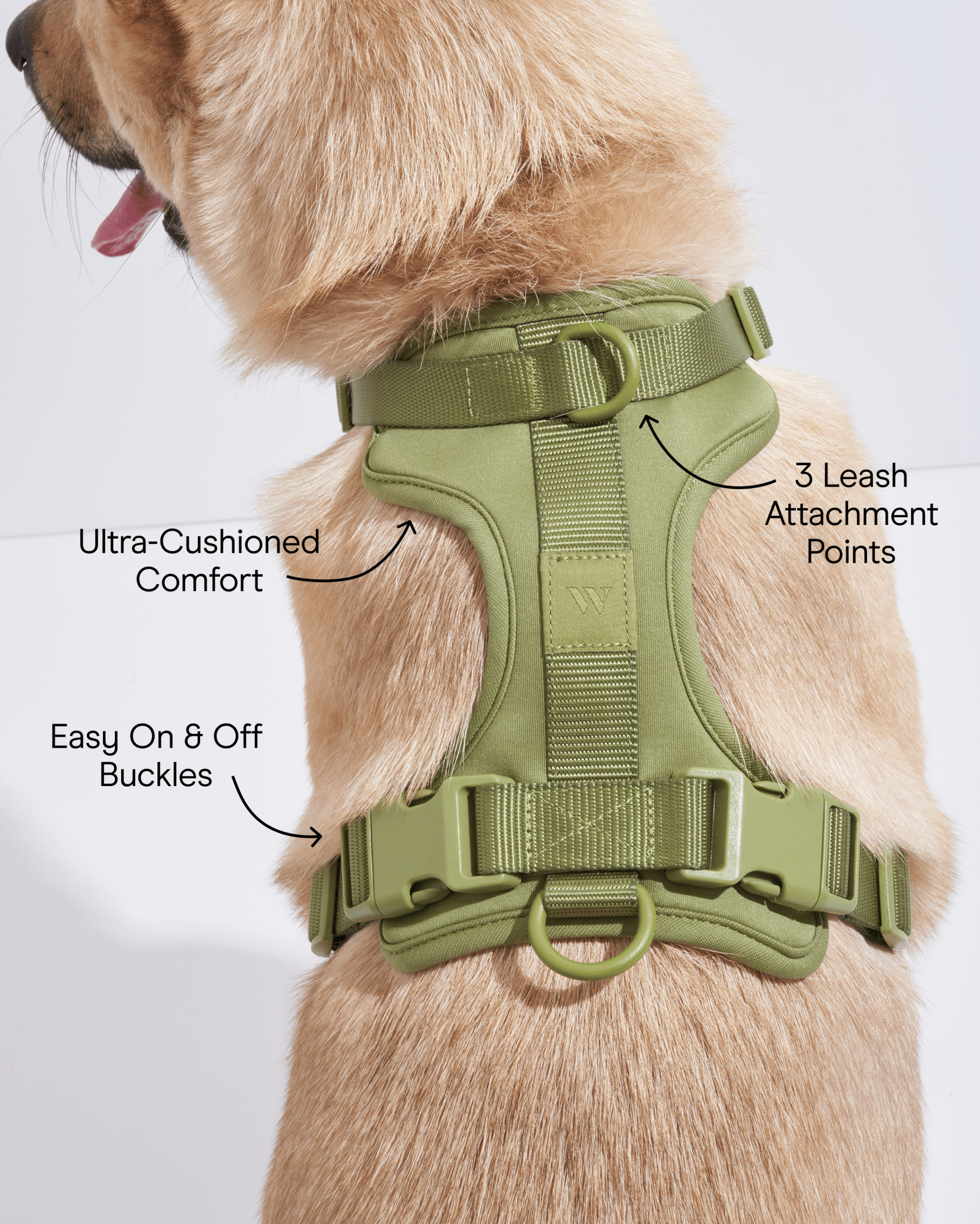 Cushioned Dog Harness - Image 55