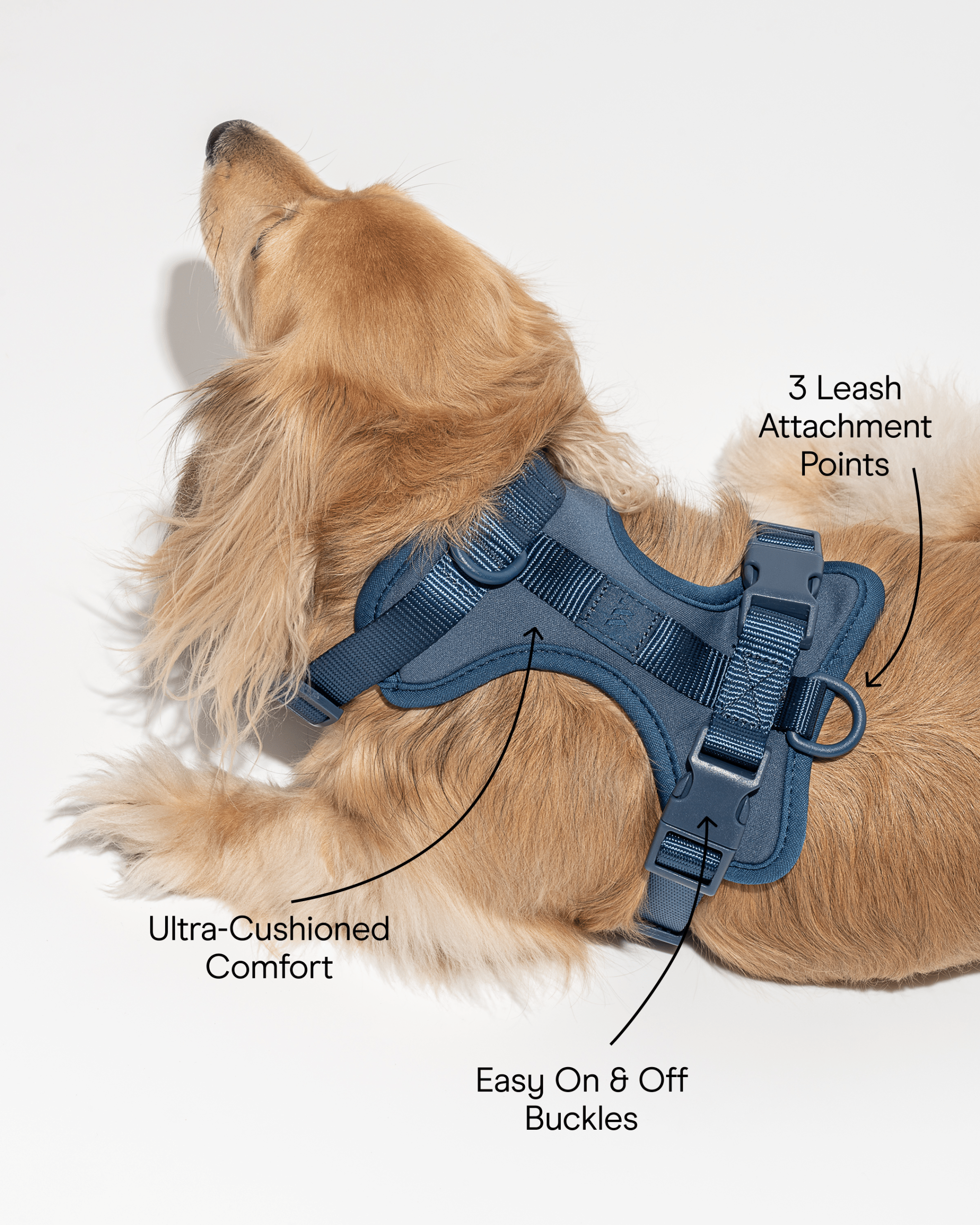 Cushioned Dog Harness - Image 41