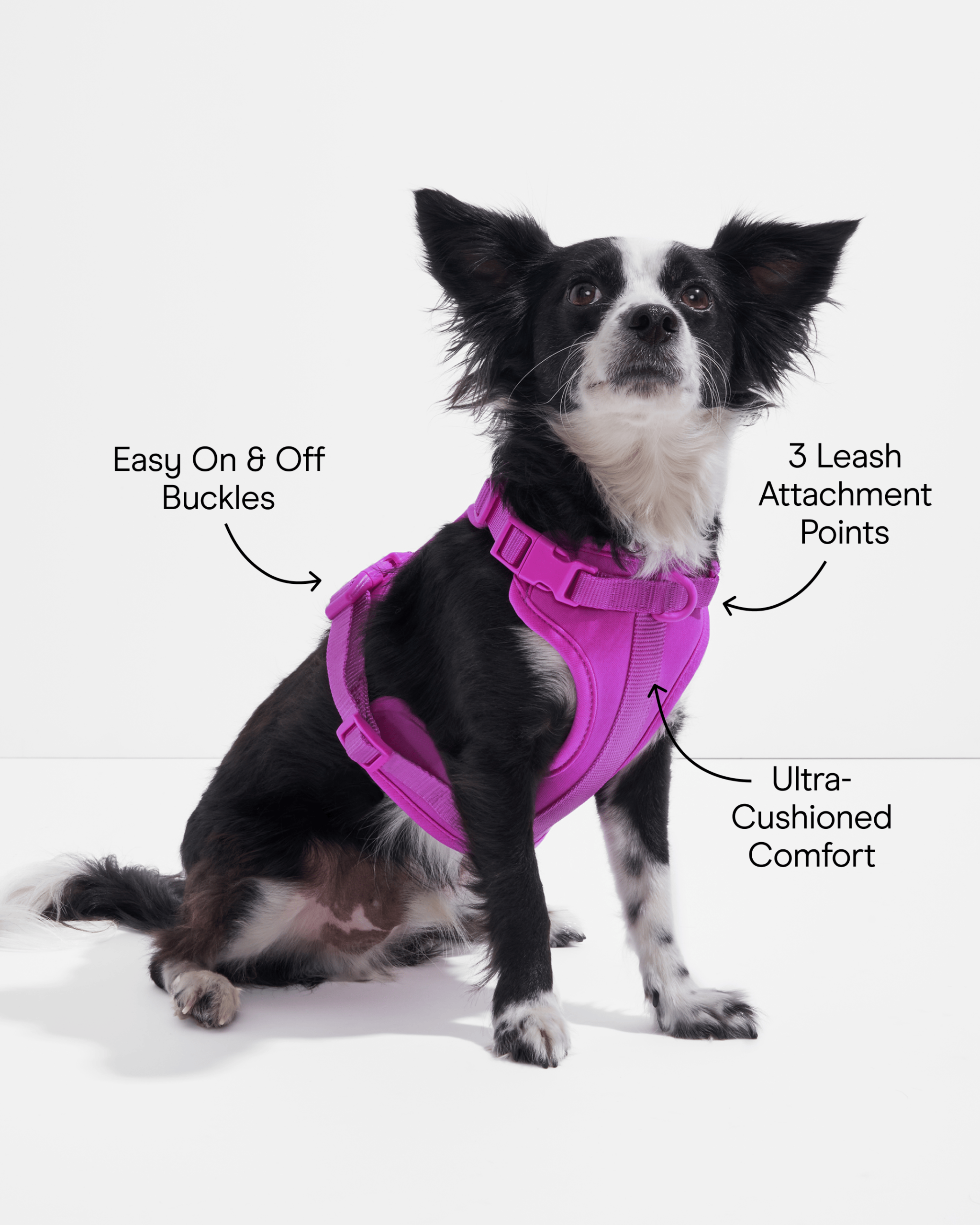 Cushioned Dog Harness - Image 56