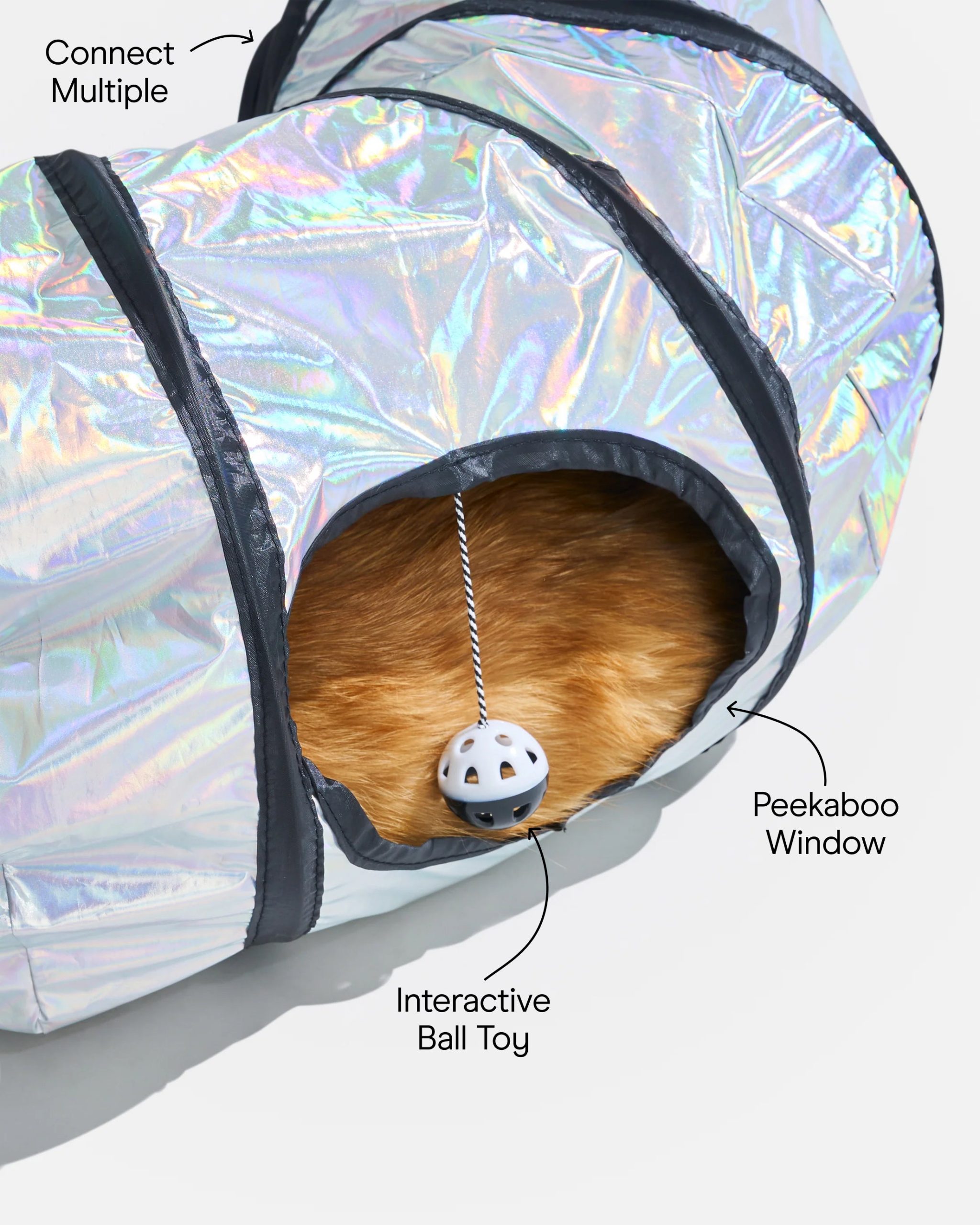 Cat Tunnel - Image 4