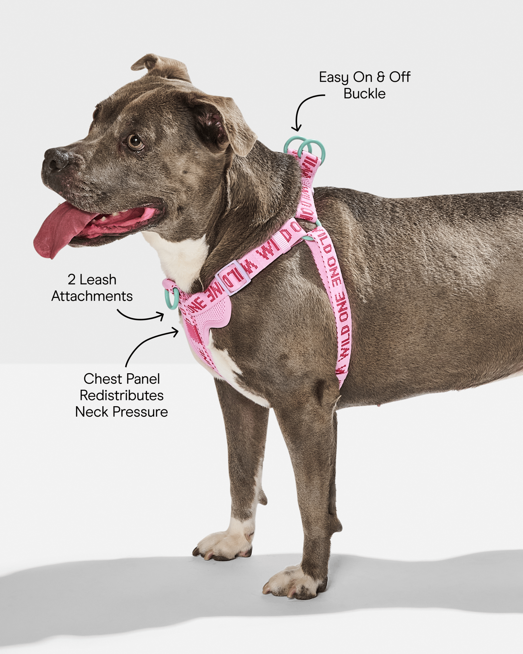 Step-In Dog Harness - Image 9