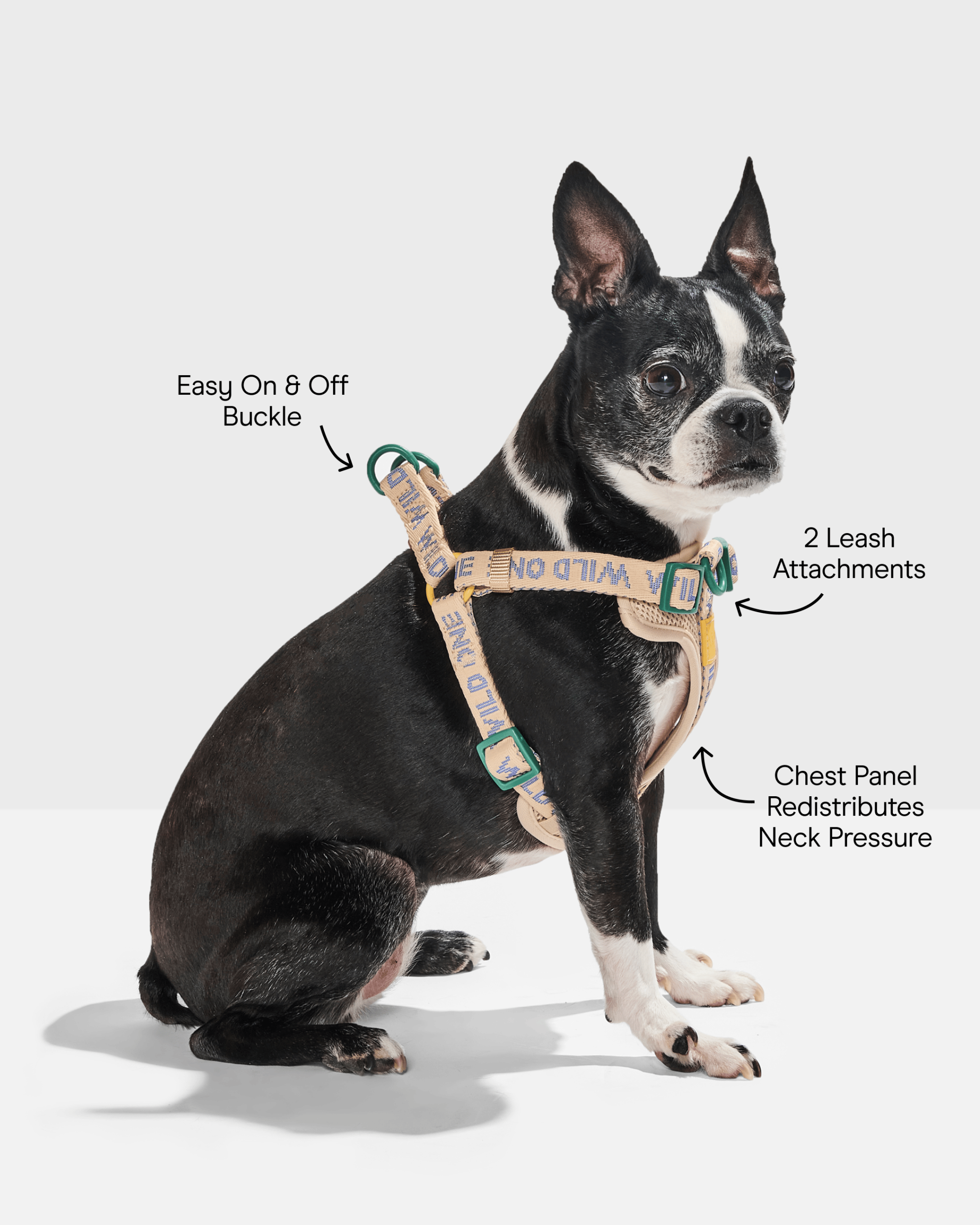 Step-In Dog Harness - Image 3