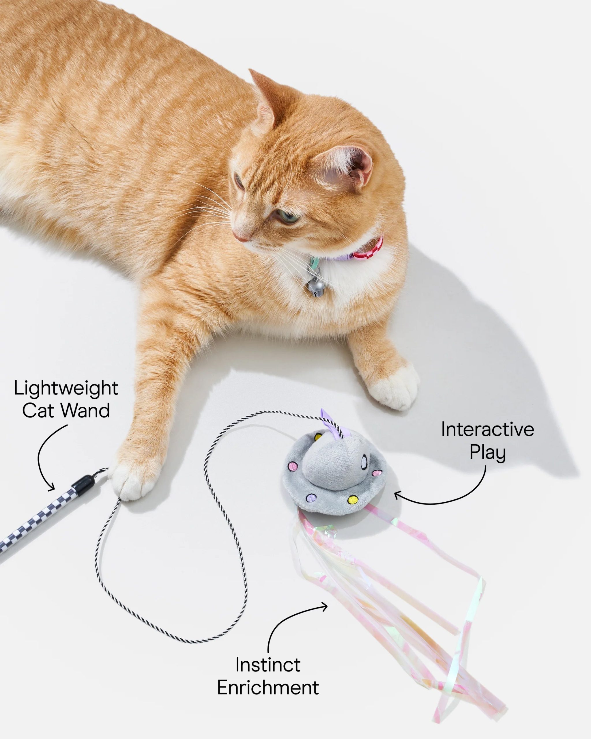 Cat Wild Wand - Image 4