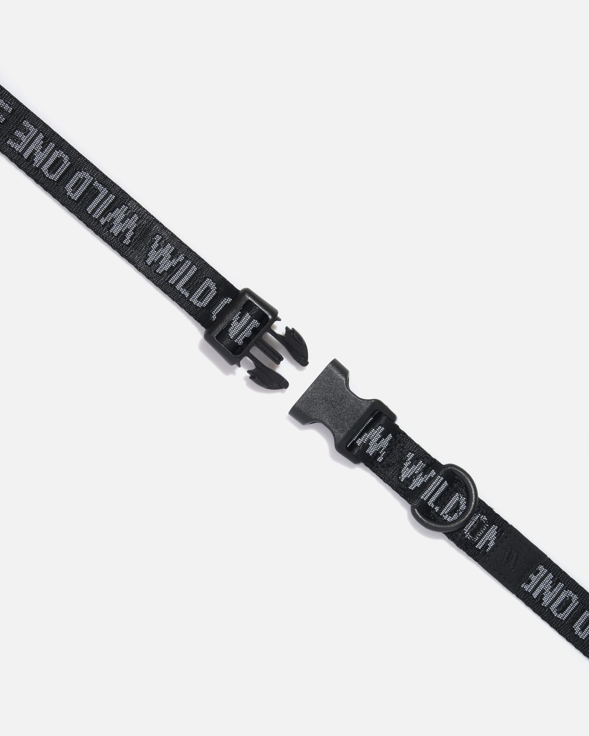 Quick-Release Dog Collar - Image 12
