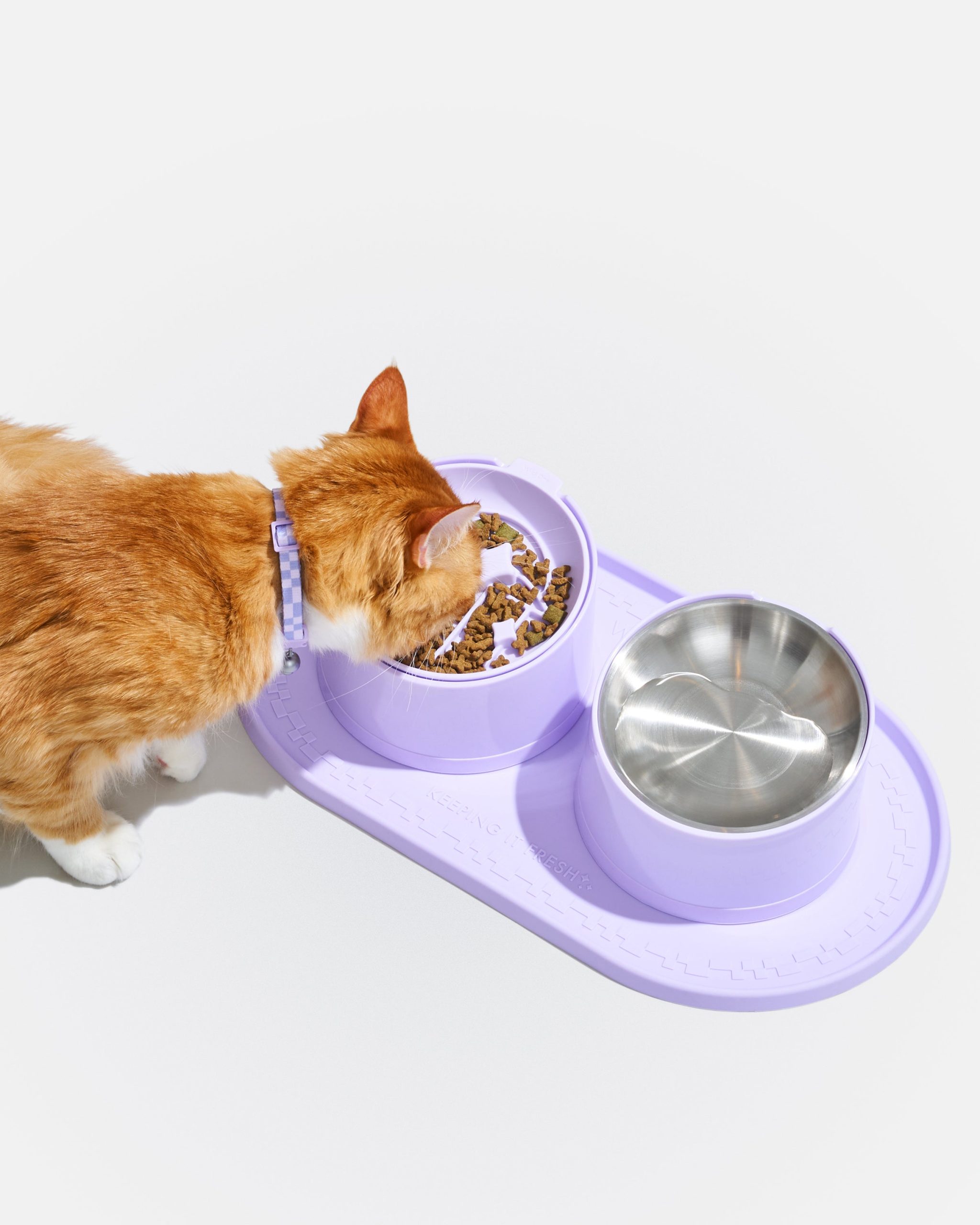 Cat Placemat - Image 4