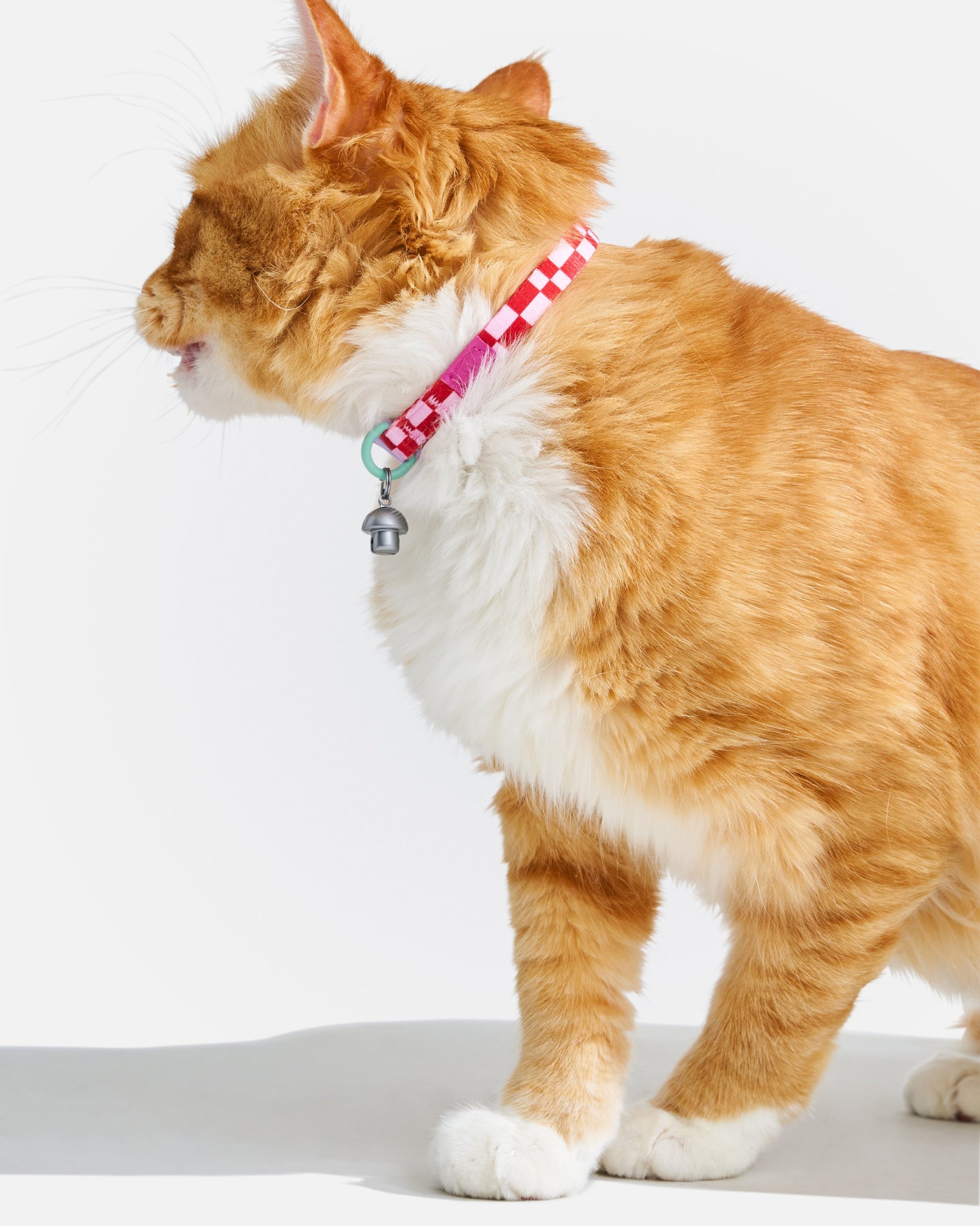 Breakaway Cat Collar - Image 21
