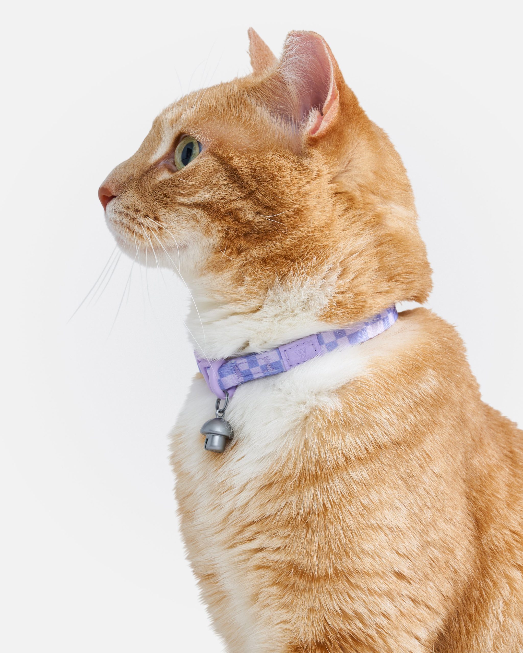 Breakaway Cat Collar - Image 10