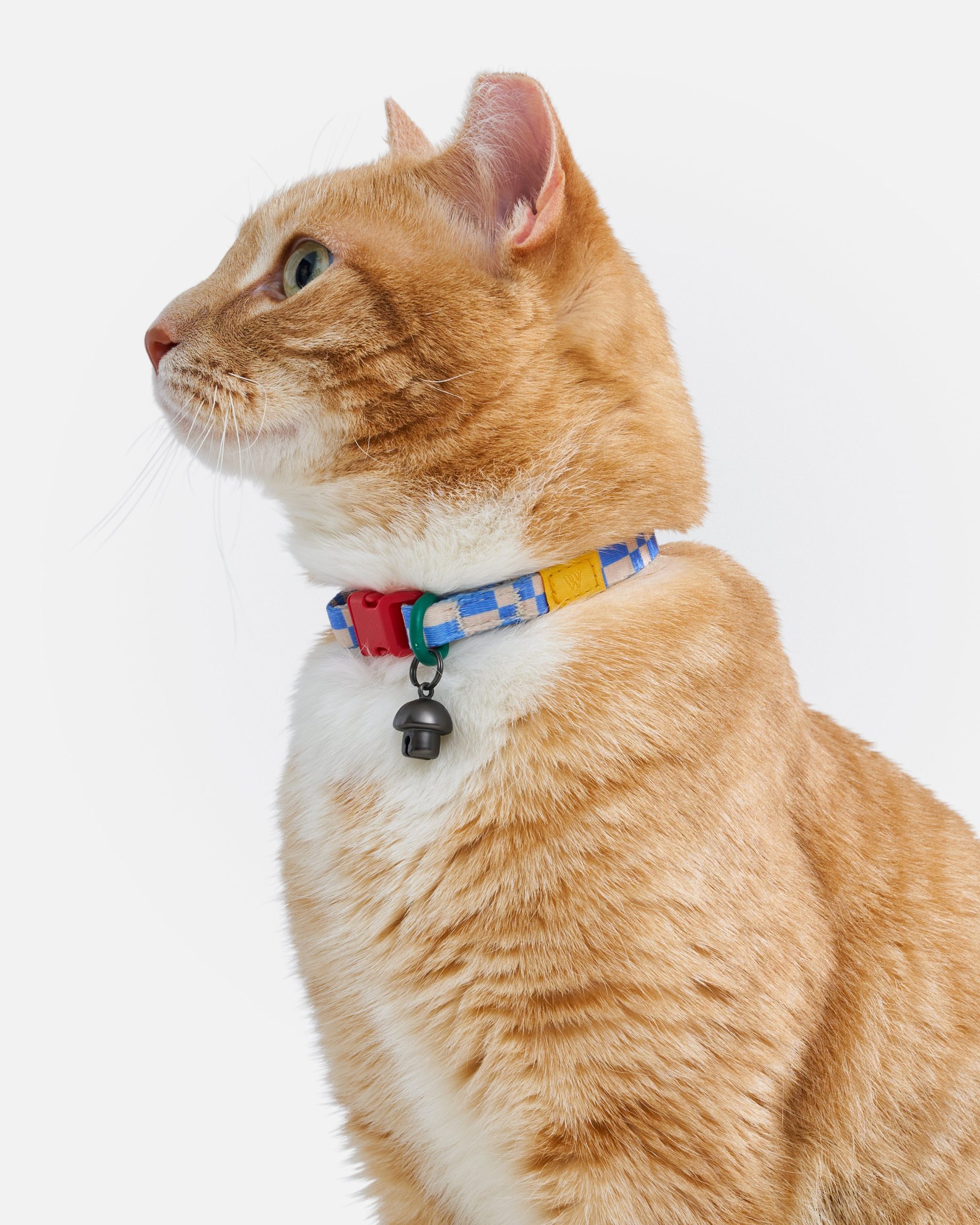 Breakaway Cat Collar - Image 26
