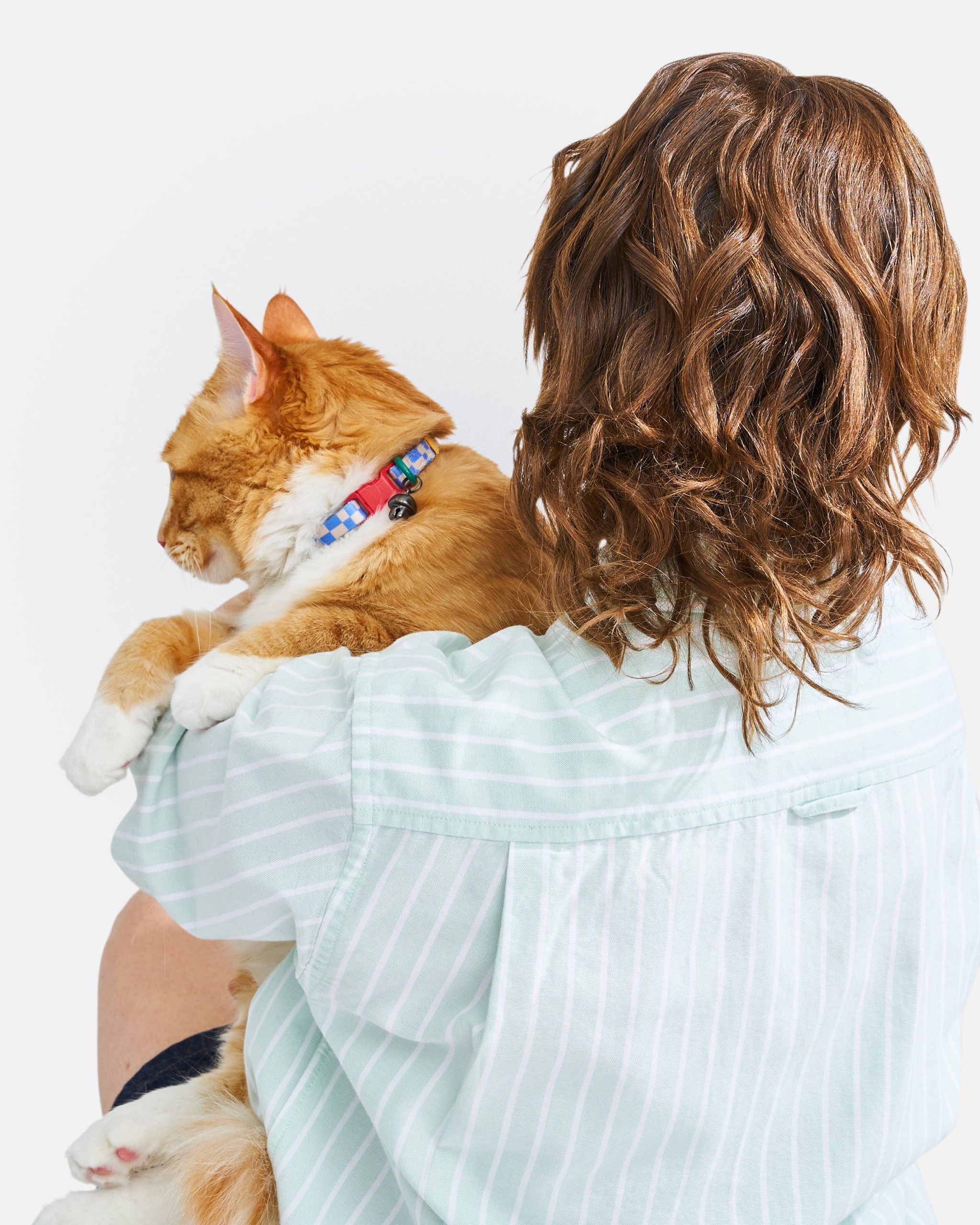 Breakaway Cat Collar - Image 16
