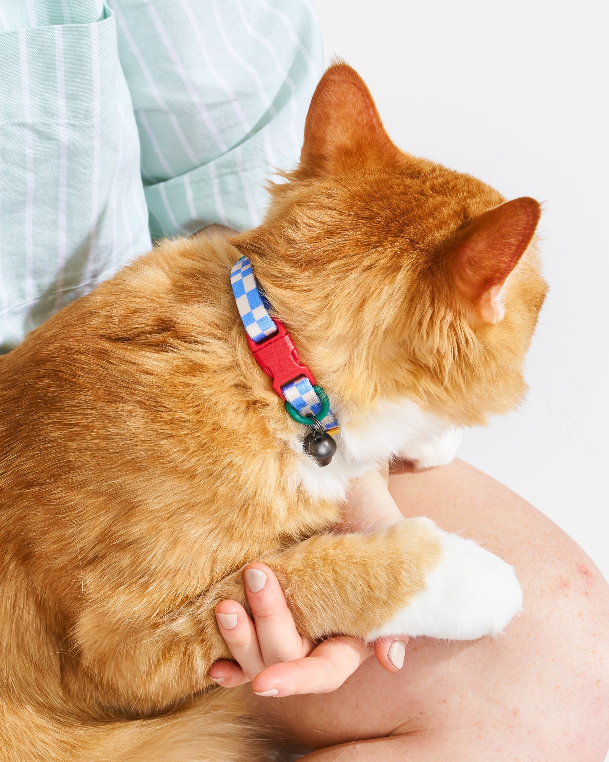 Breakaway Cat Collar - Image 13