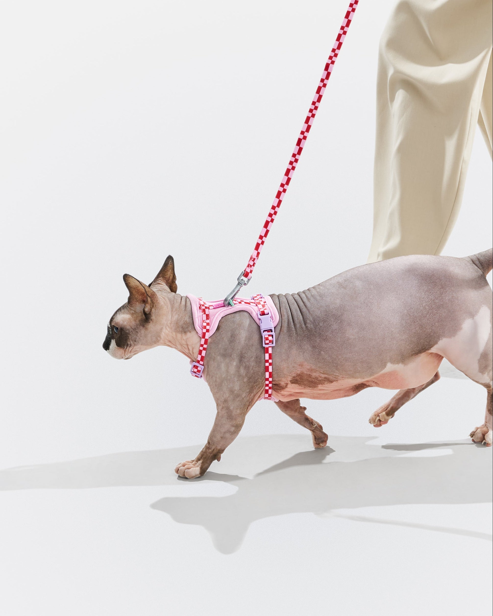 Cat Harness & Leash - Image 2