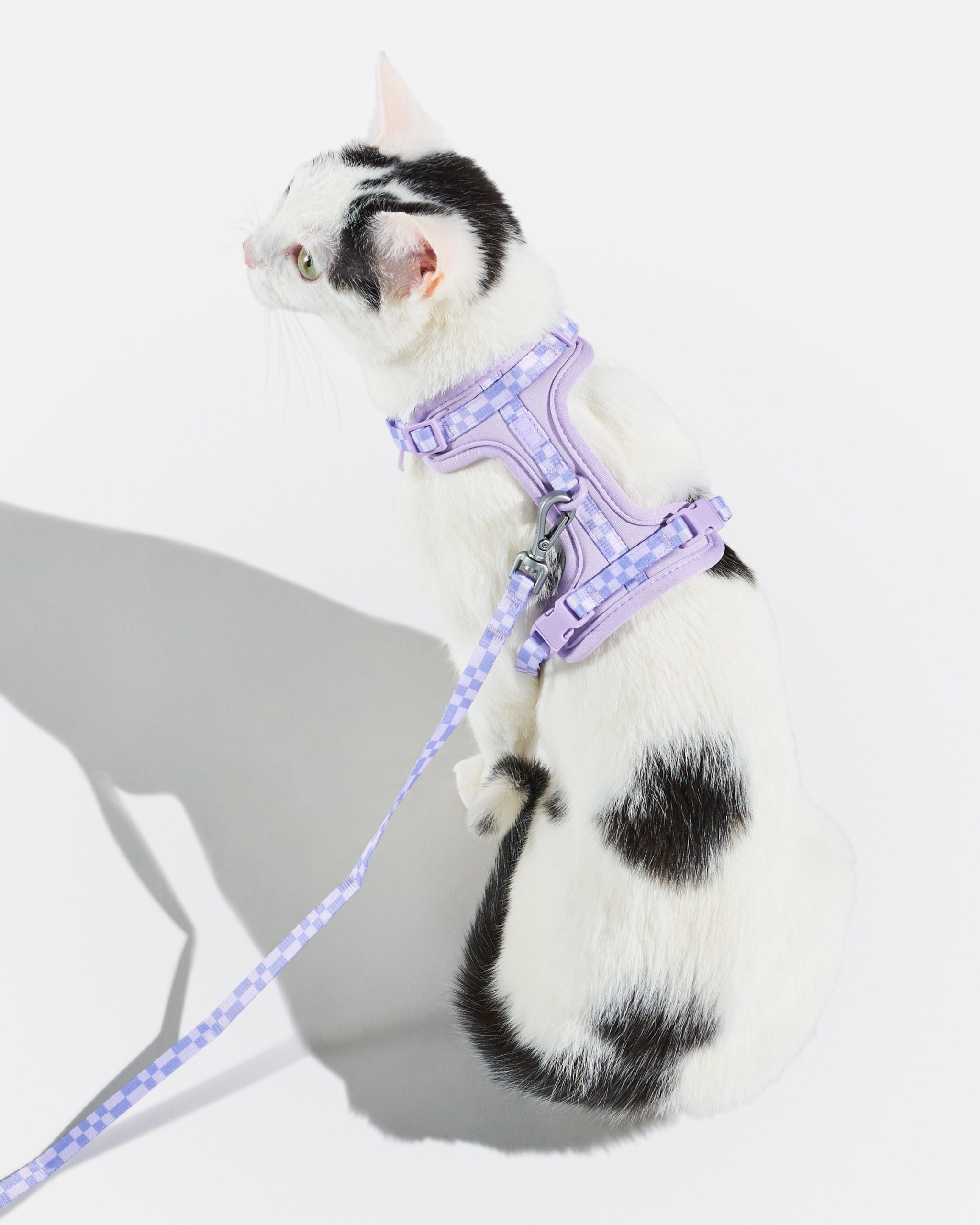 Cat Harness & Leash - Image 6