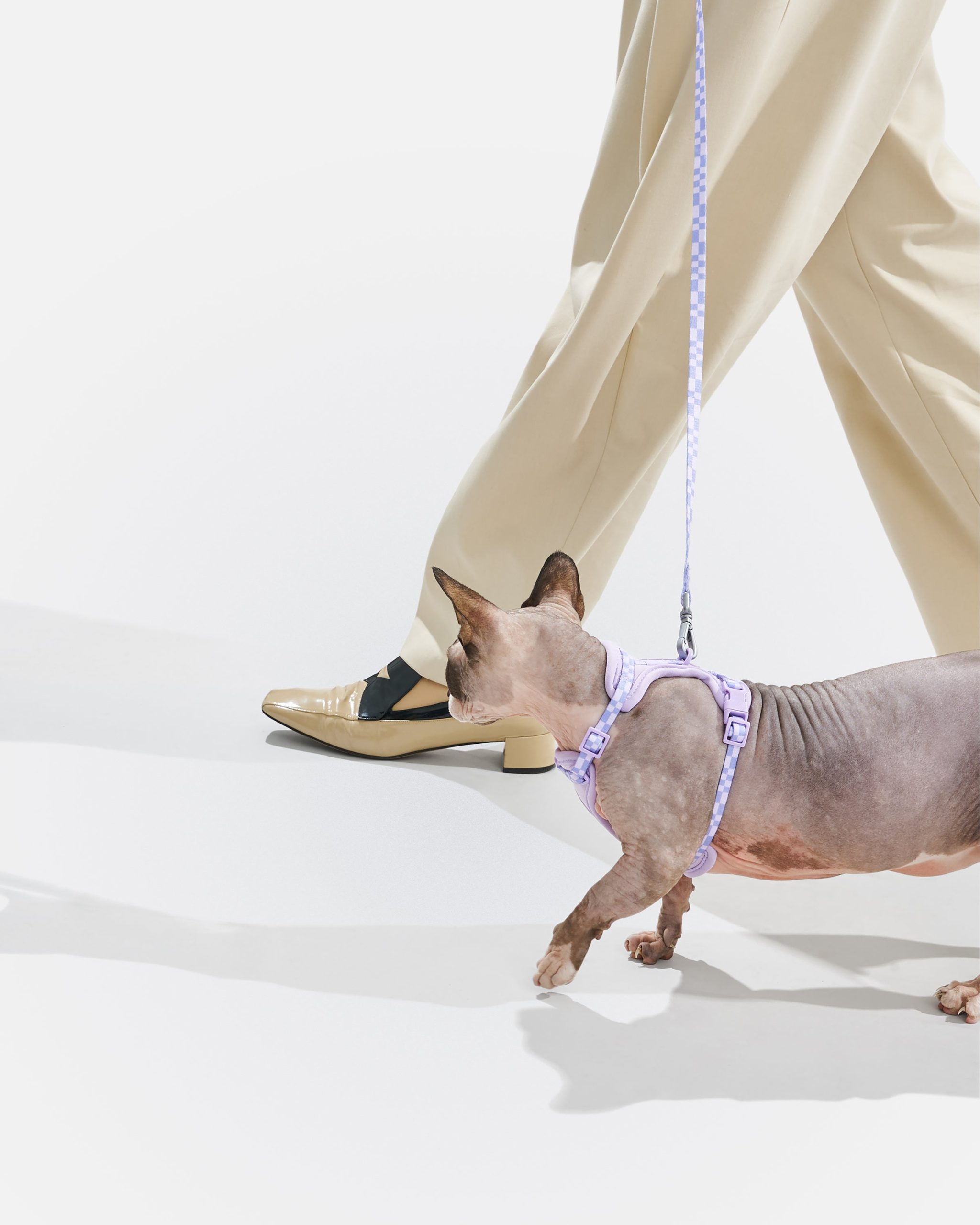 Cat Harness & Leash - Image 4