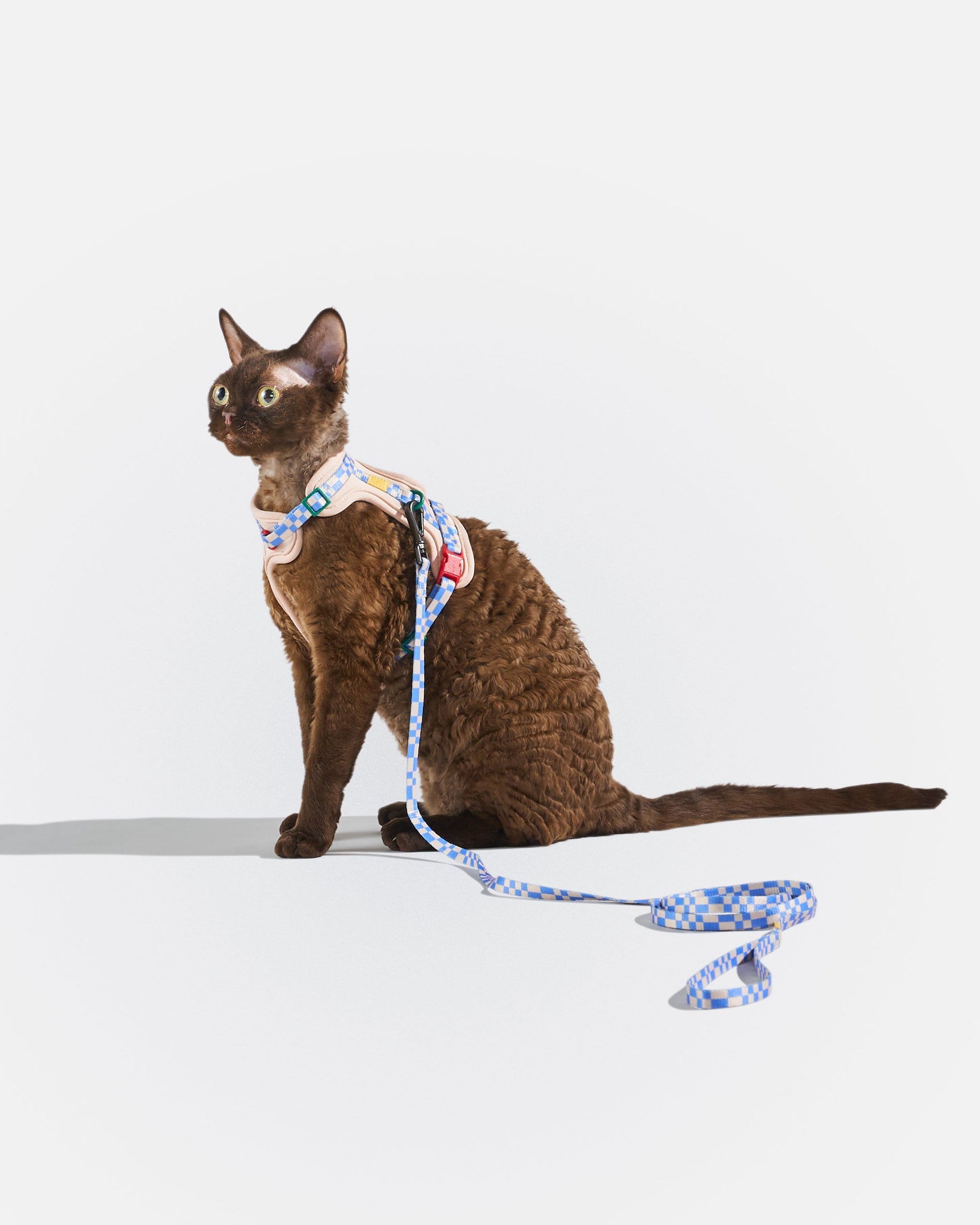 Cat Harness & Leash - Image 11