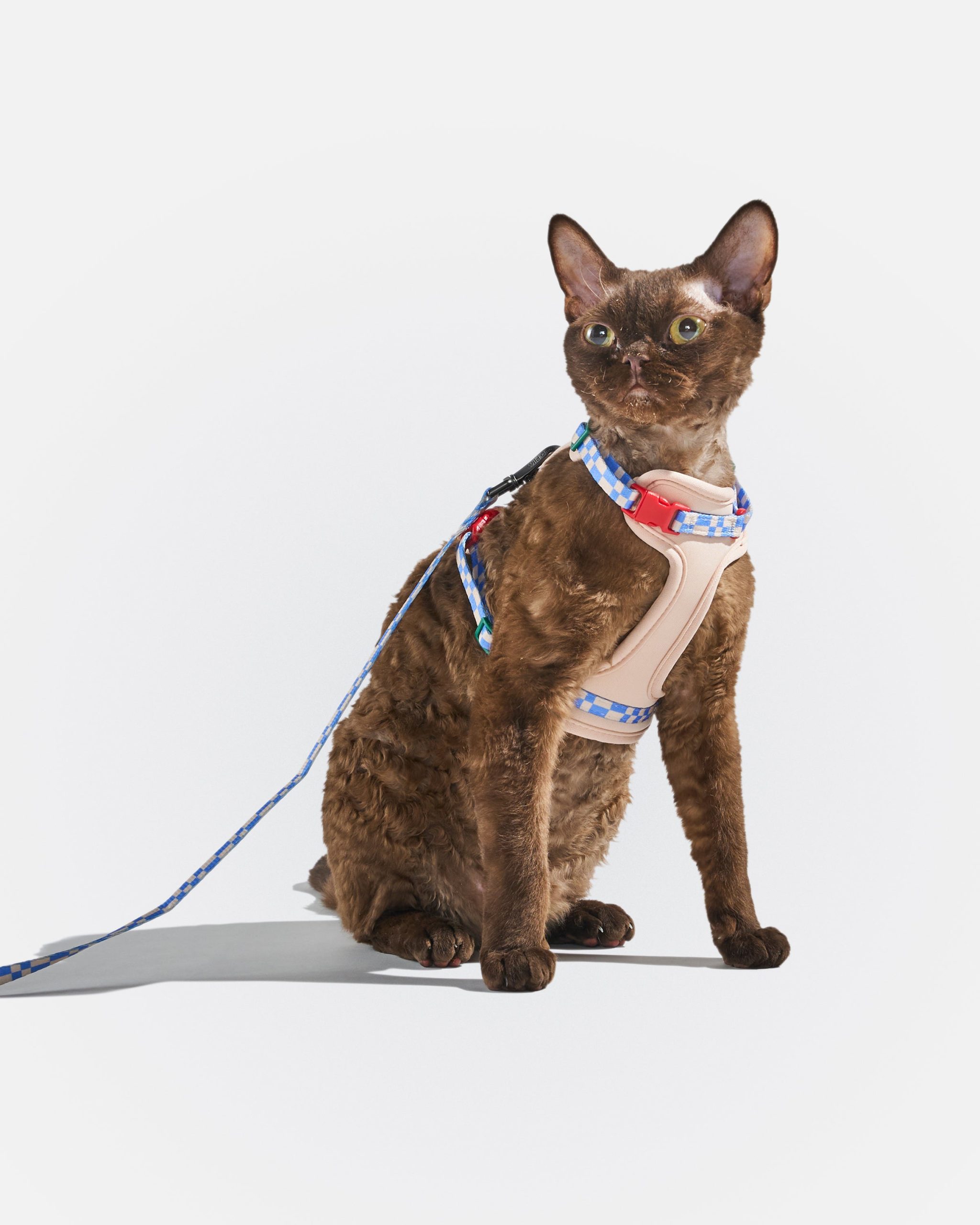 Cat Harness & Leash - Image 12