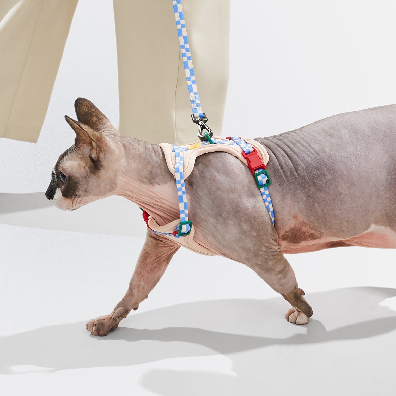 Cat Harness & Leash - Image 16
