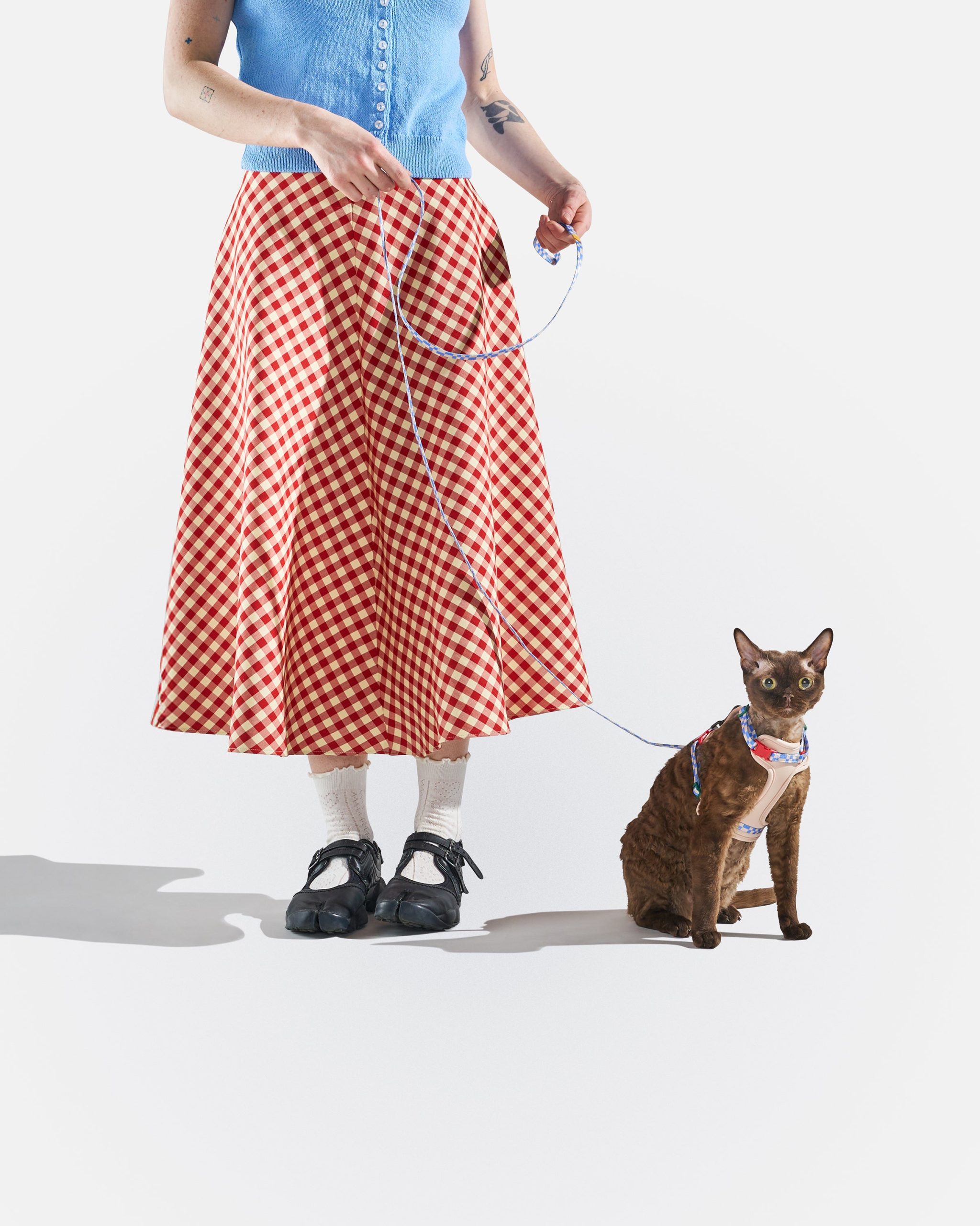 Cat Harness & Leash - Image 10
