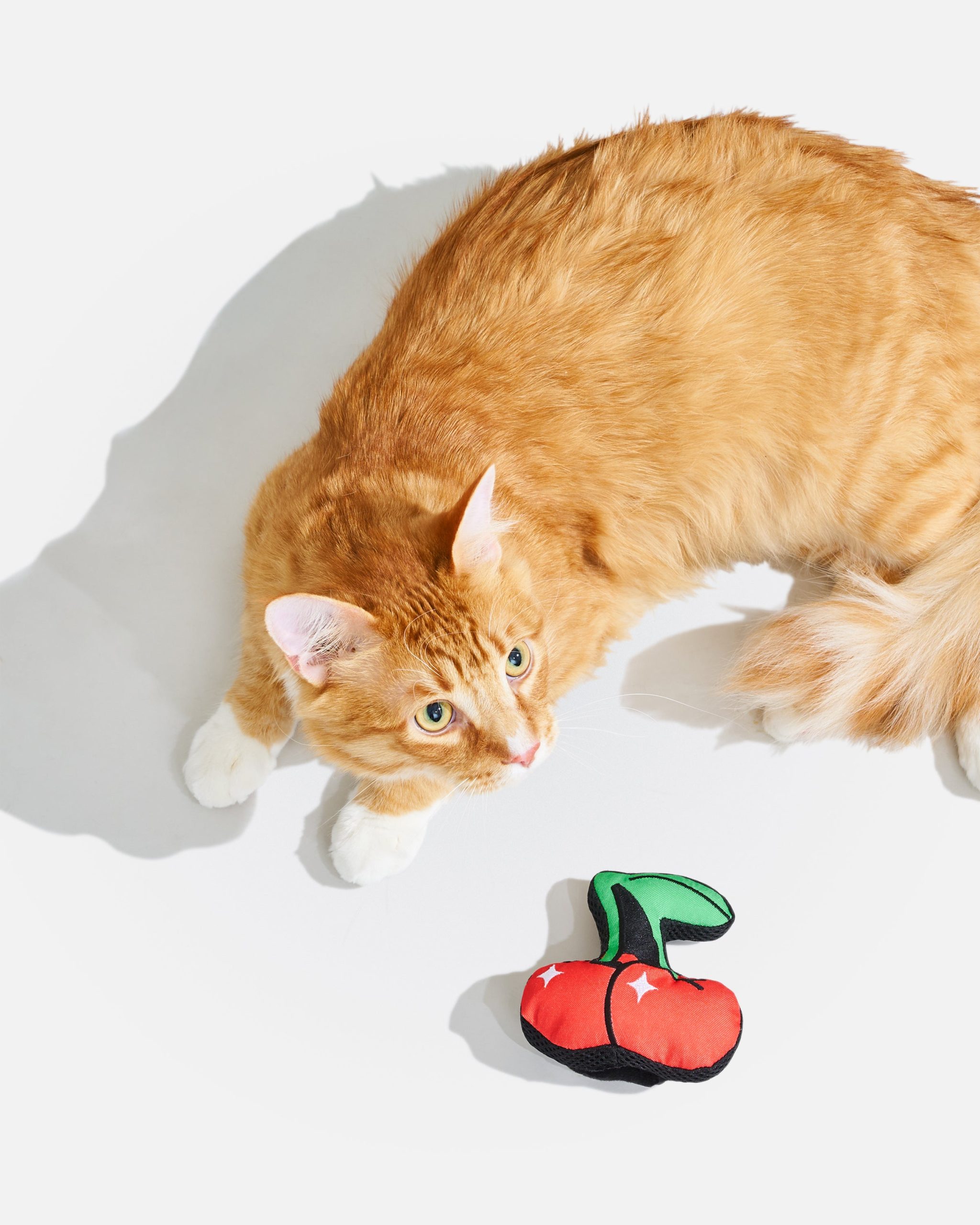 Playful Plush Cat Toy - Image 13