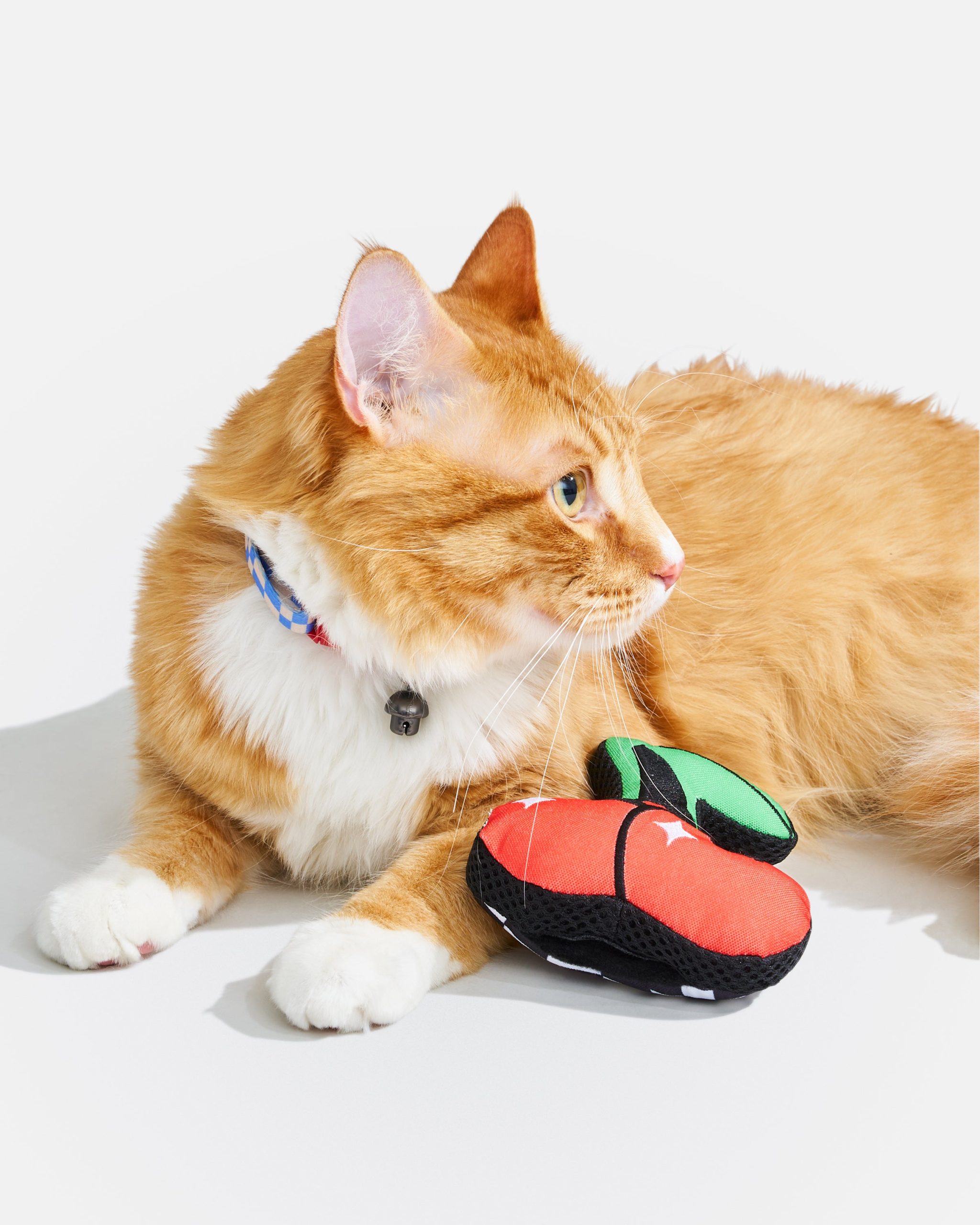 Playful Plush Cat Toy - Image 14