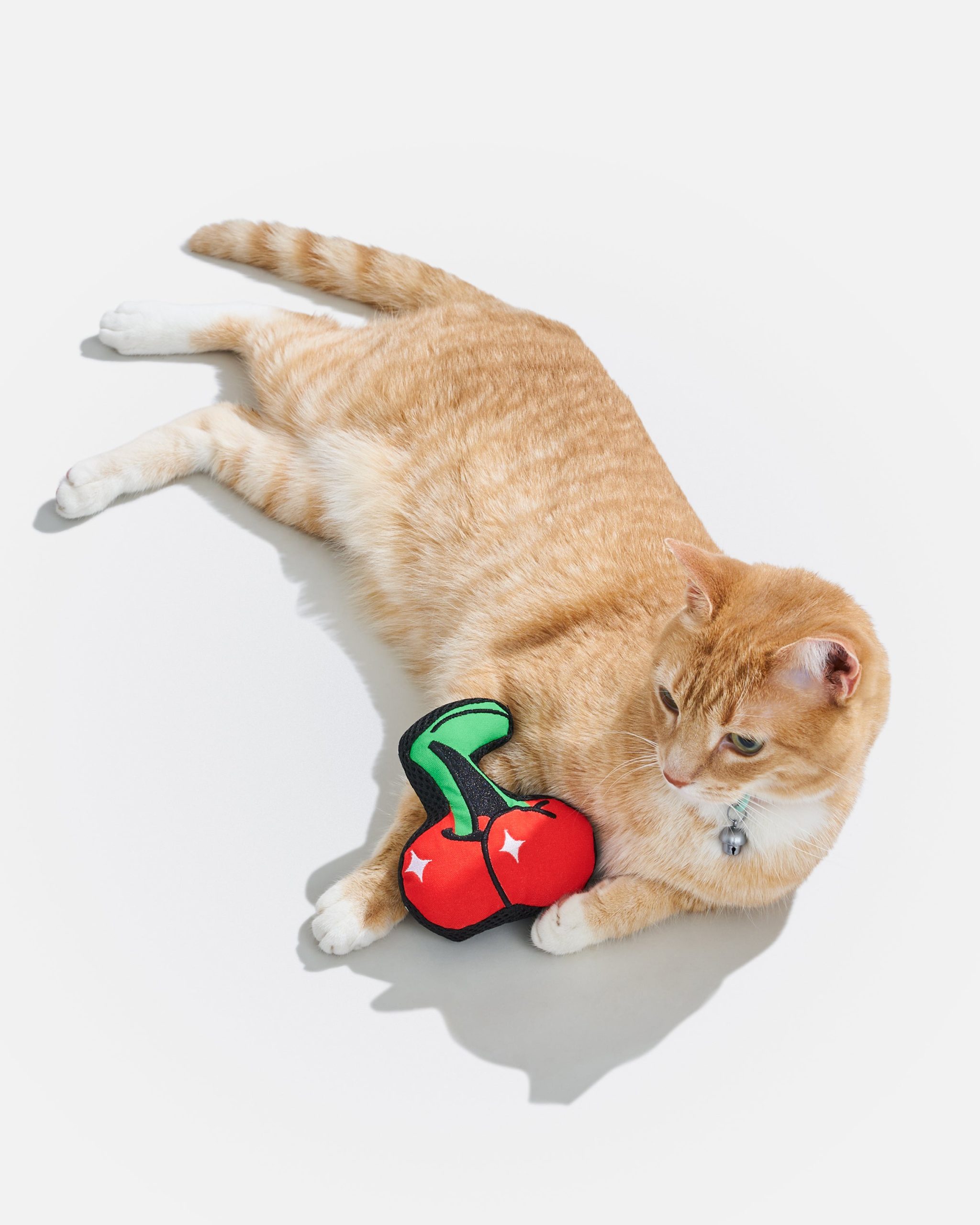 Playful Plush Cat Toy - Image 10