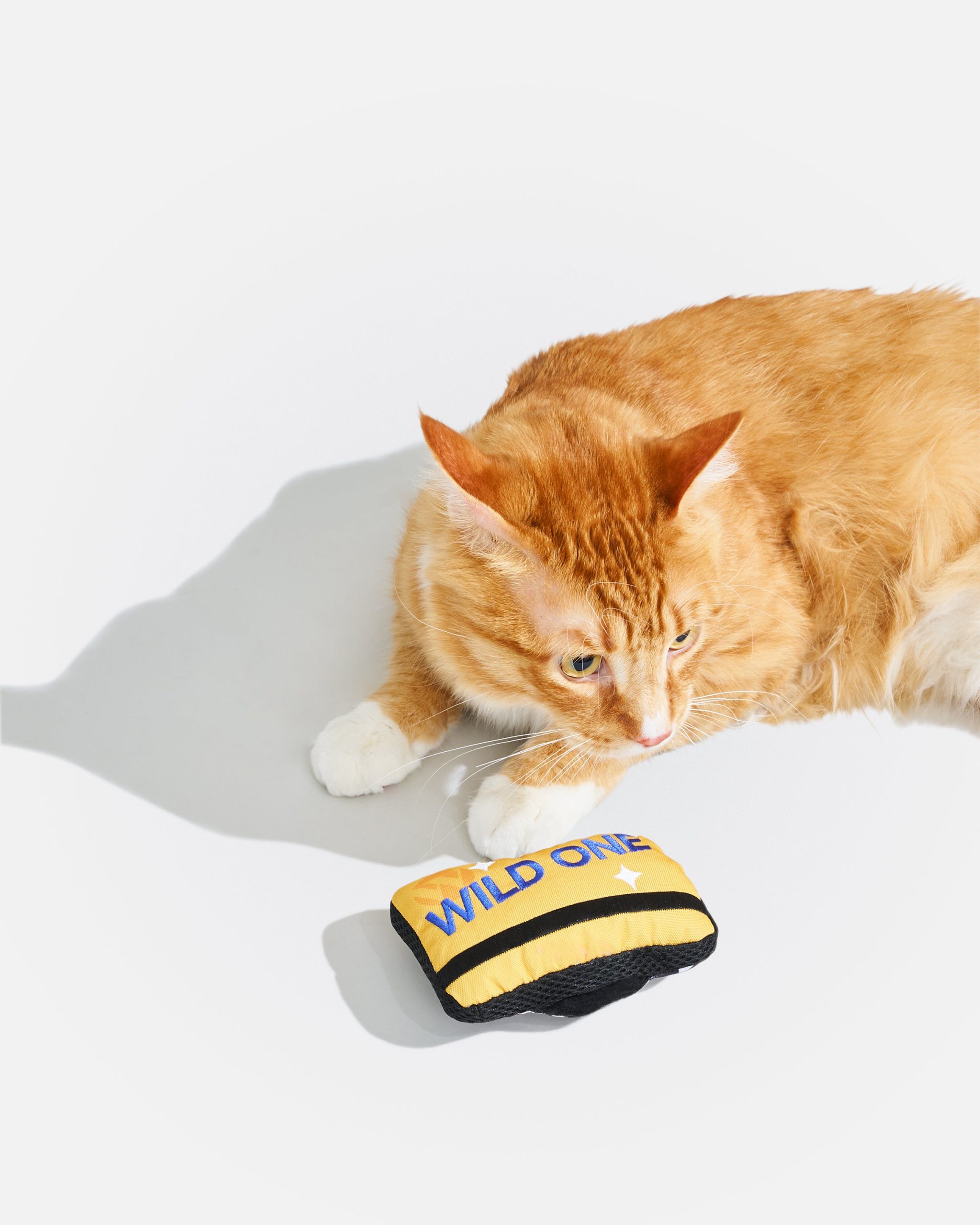 Playful Plush Cat Toy - Image 5
