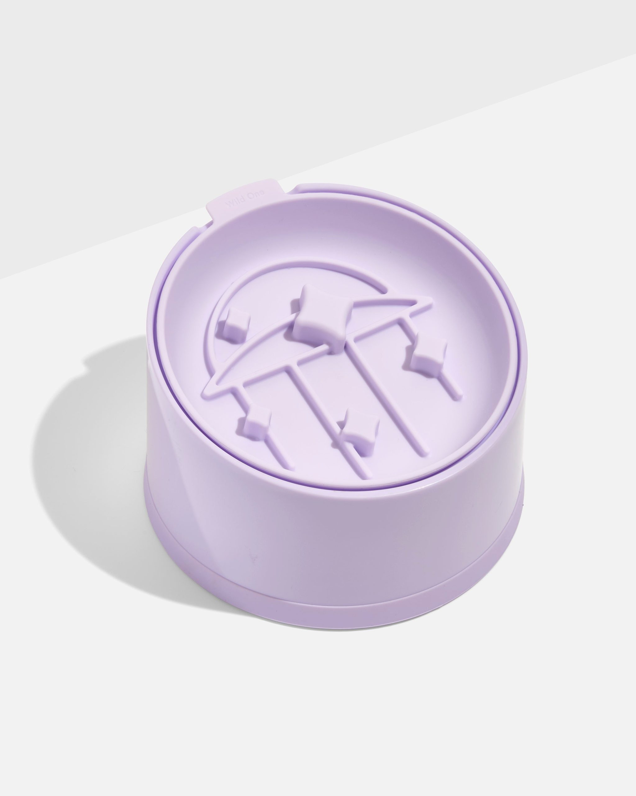 Cat Slow Feeder
