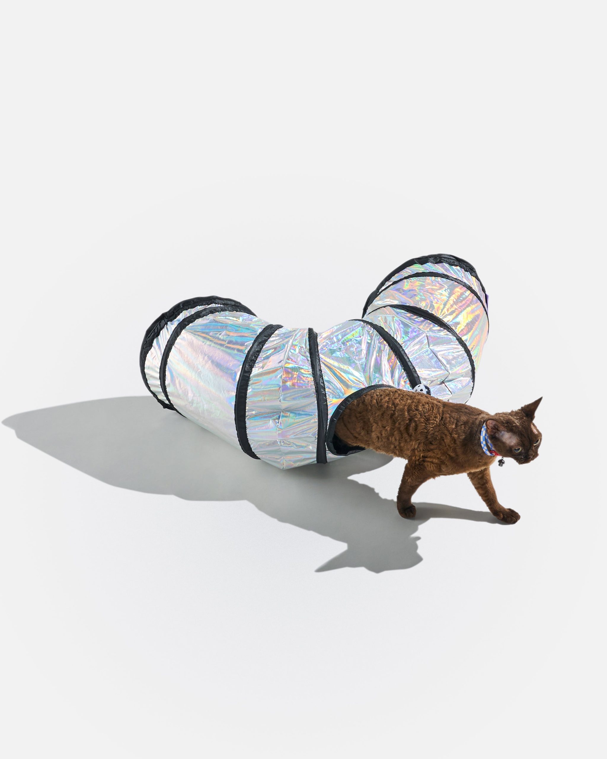 Cat Tunnel - Image 16