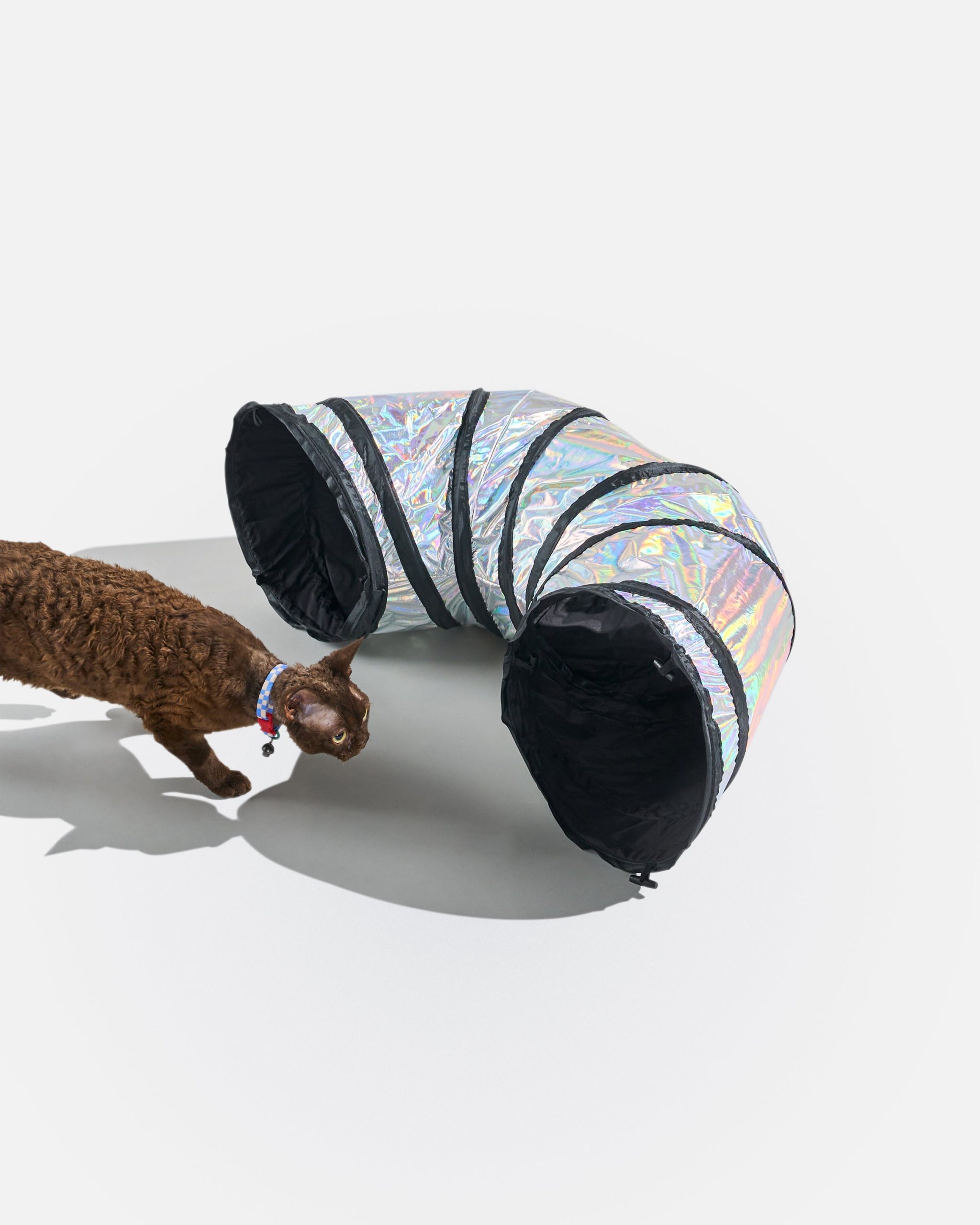 Cat Tunnel - Image 3