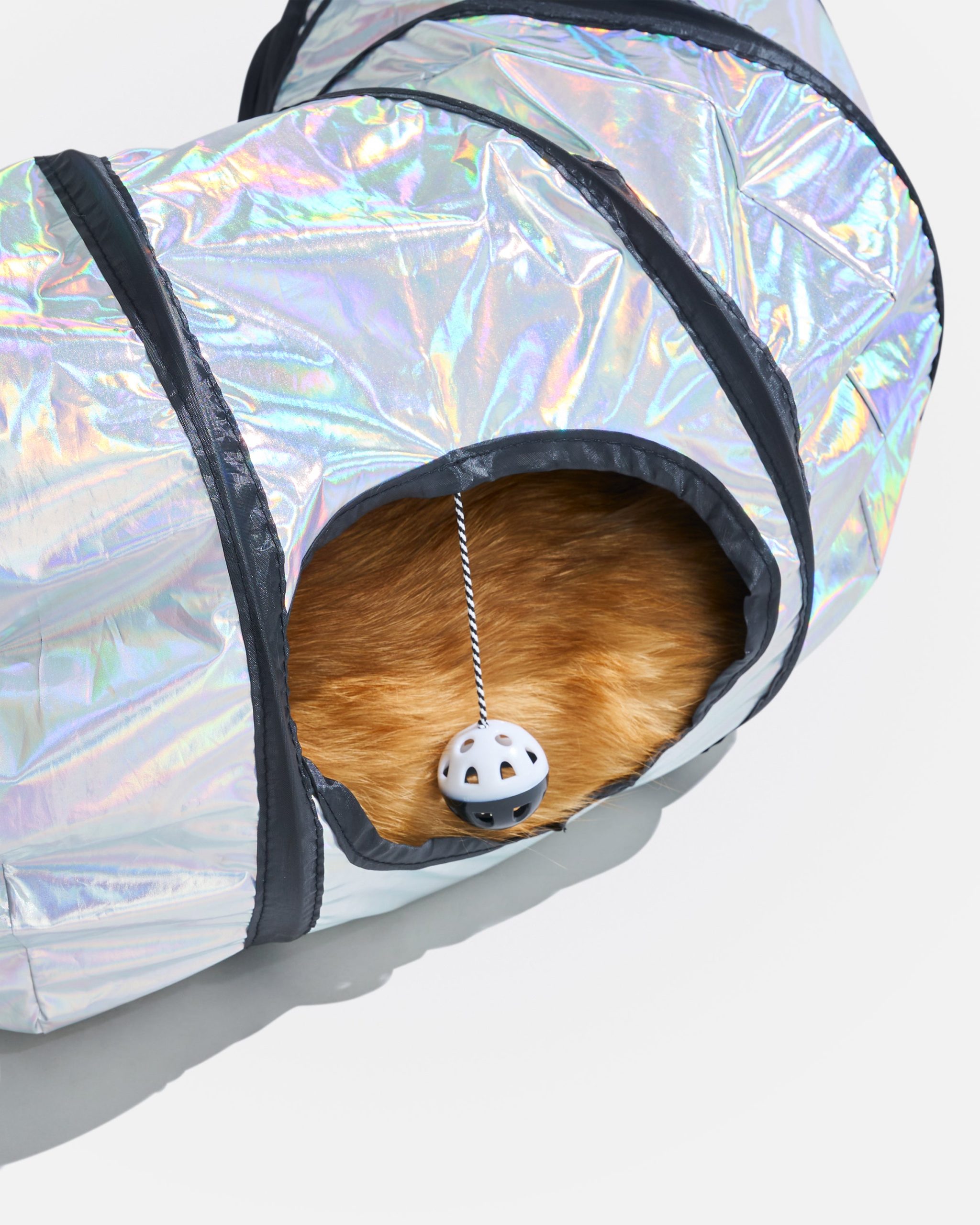 Cat Tunnel - Image 19