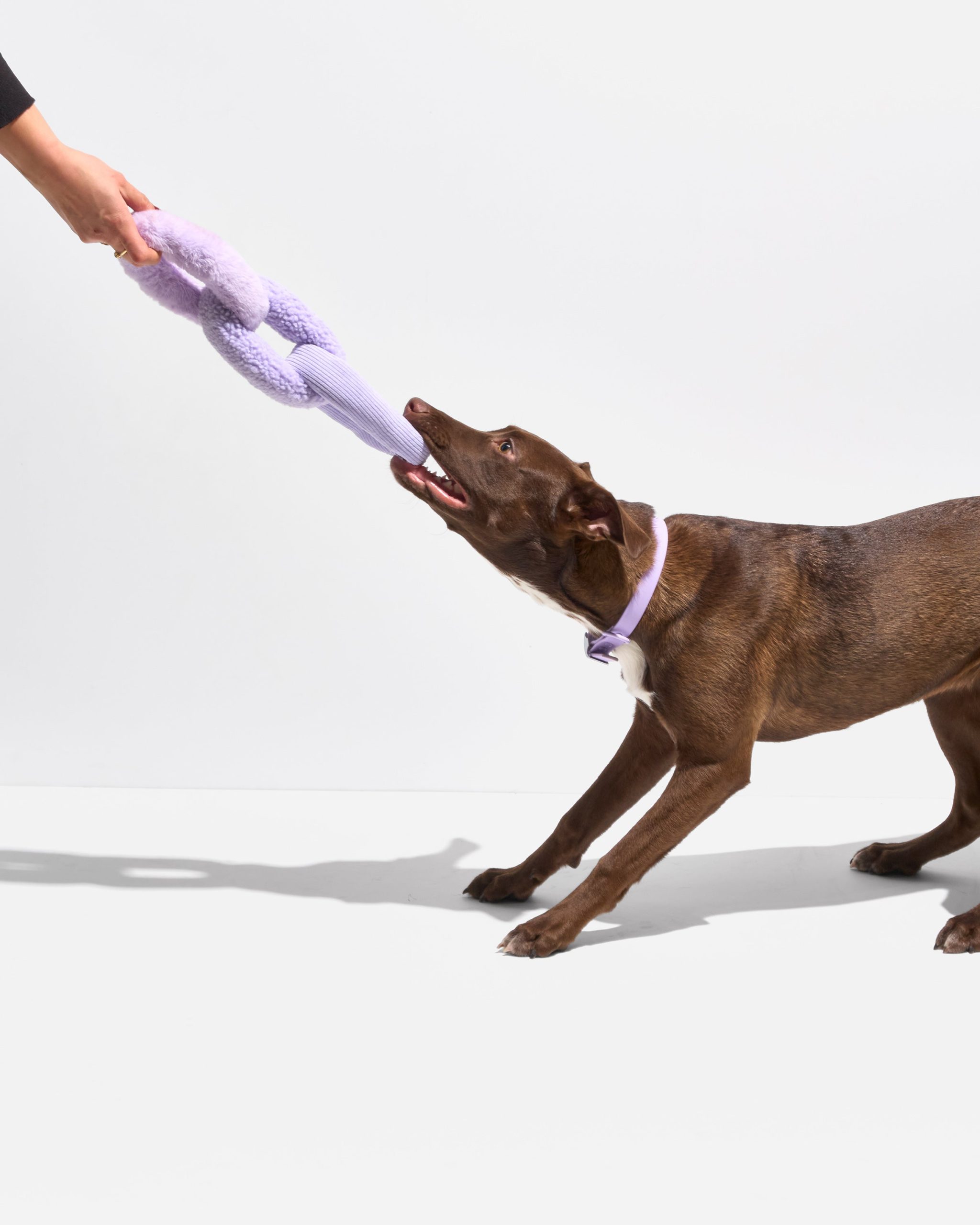 Chew Chain - Image 3