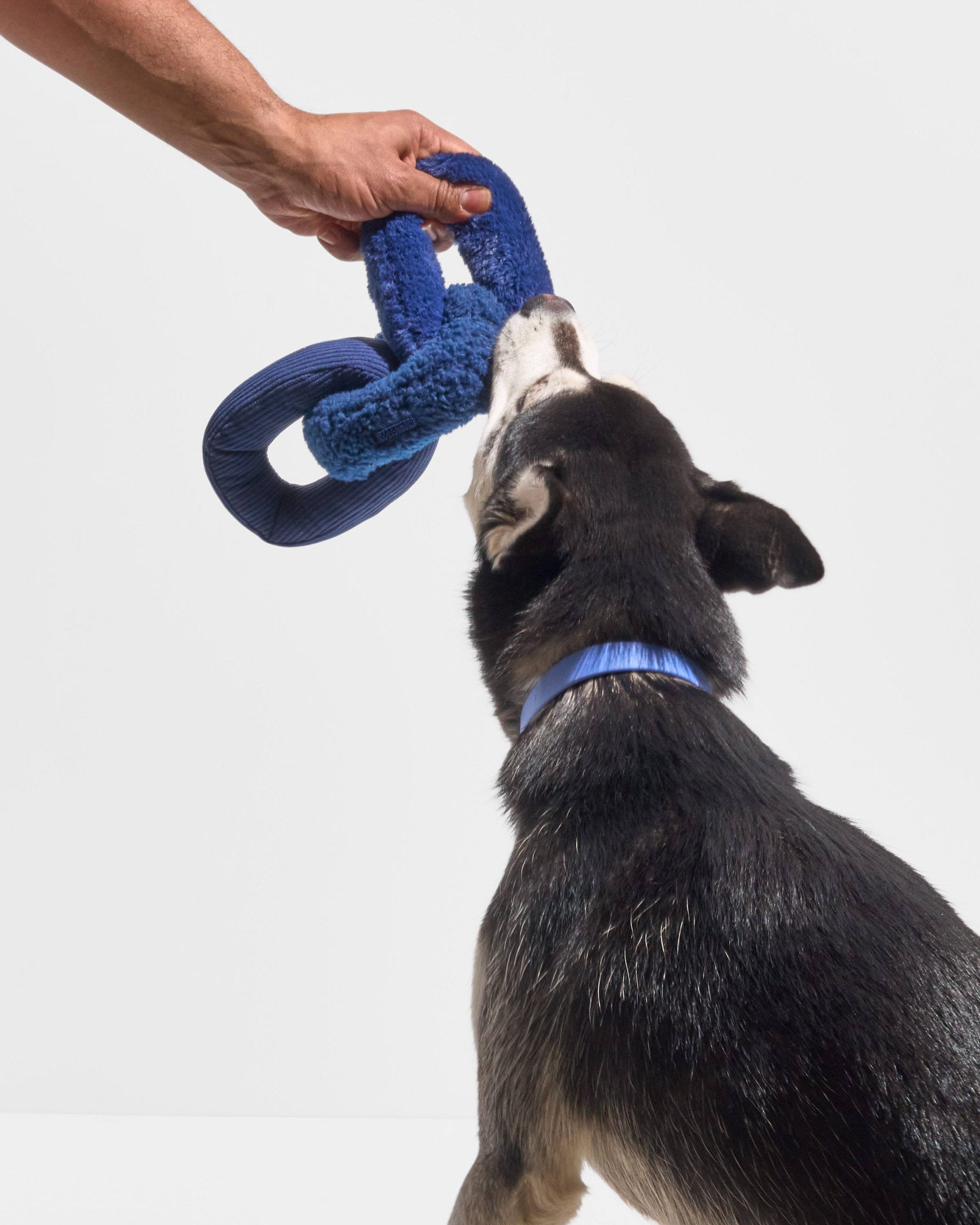Chew Chain - Image 9