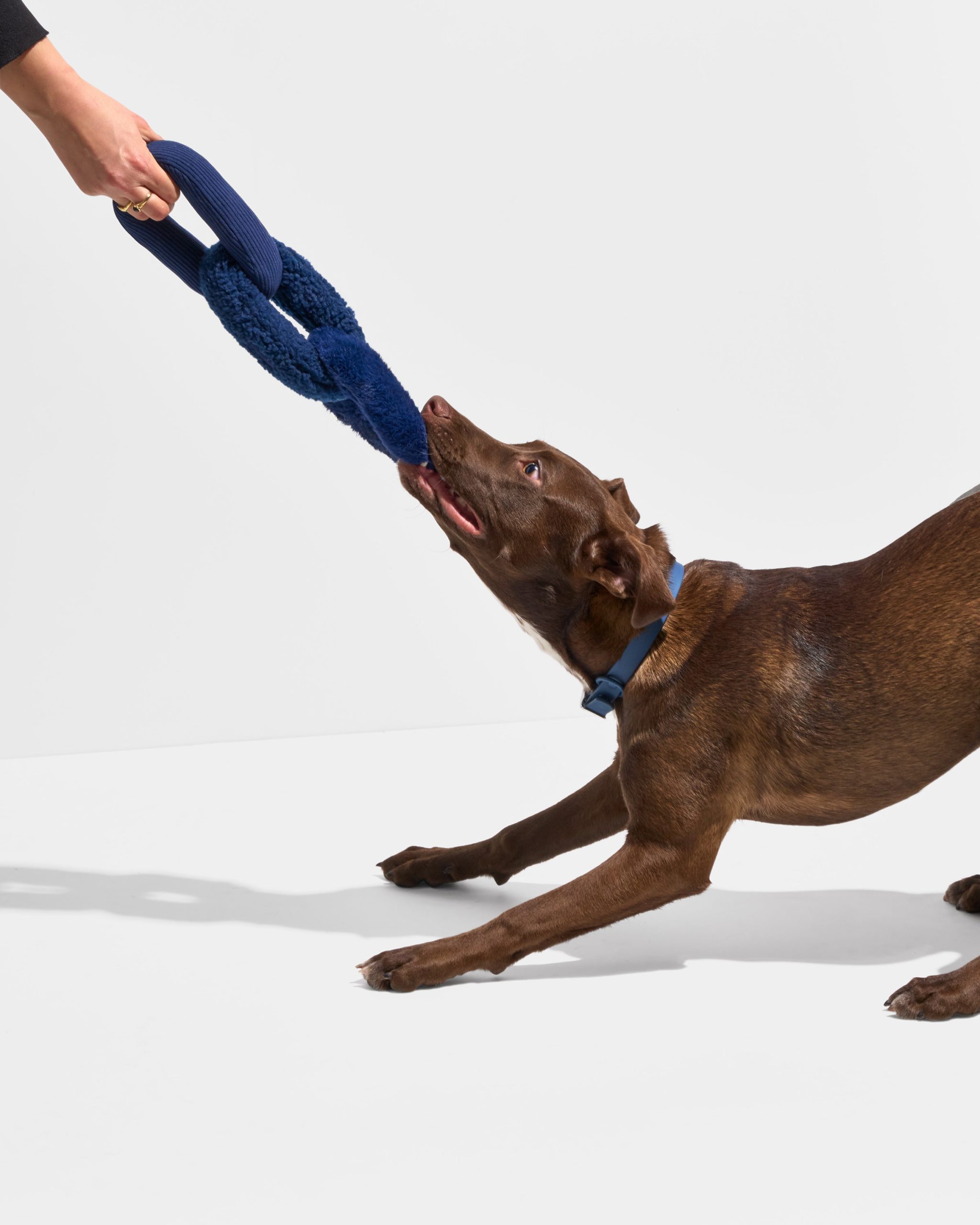 Chew Chain - Image 7