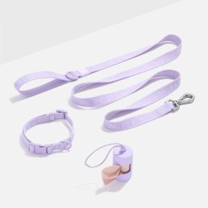 Quick-Release Collar + Lightweight Leash Walk Kit