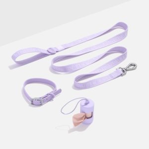 Waterproof Collar + Lightweight Leash Walk Kit