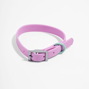 Waterproof Dog Collar