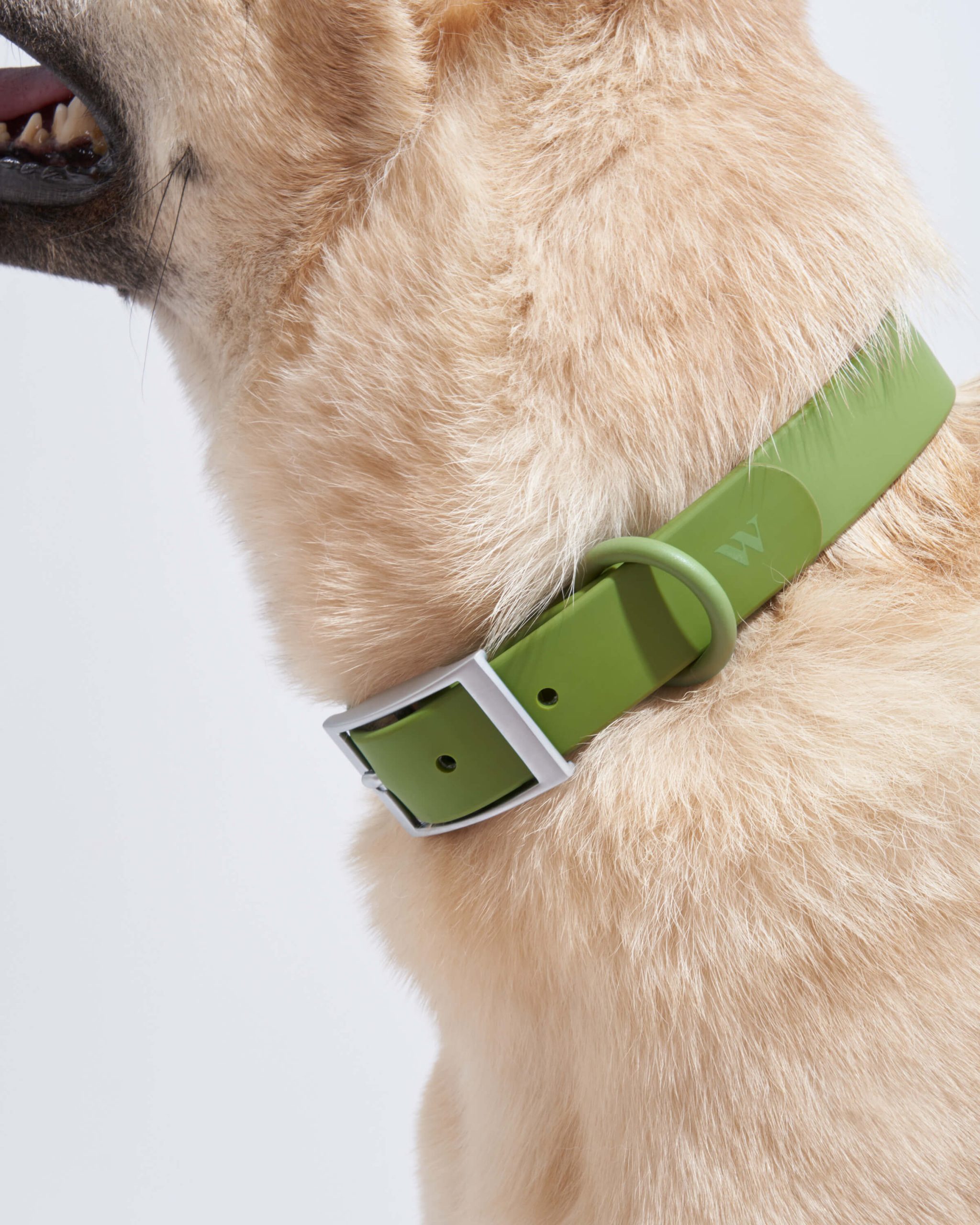 Waterproof Dog Collar - Image 81