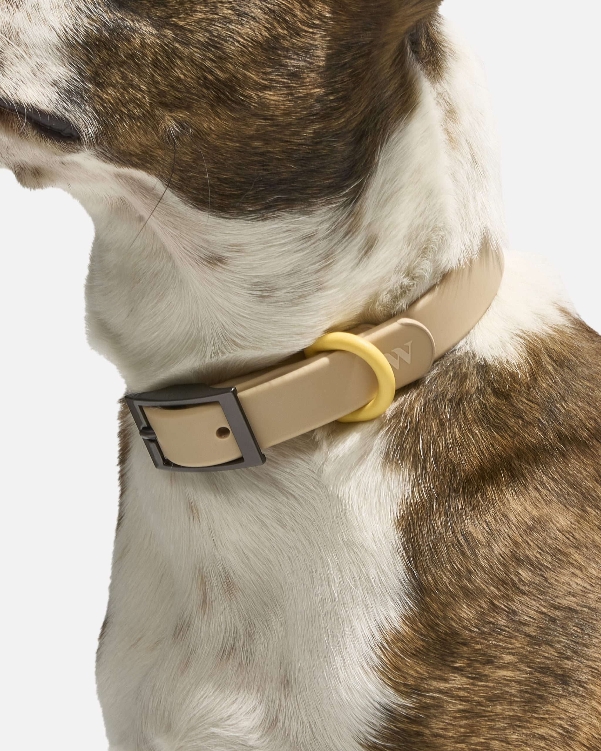 Waterproof Dog Collar - Image 104