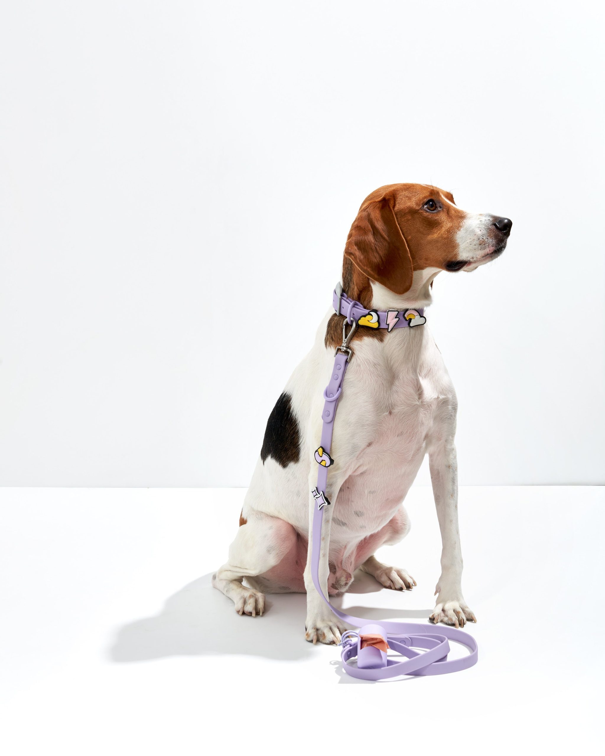 Dog Flair Pack - Image 12