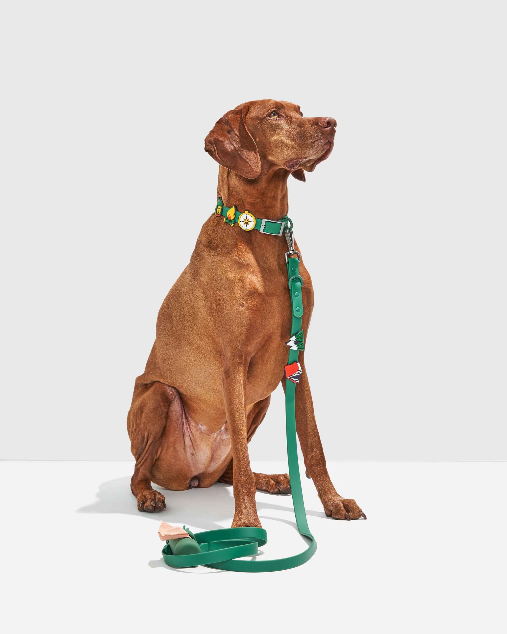 Dog Flair Pack - Image 17