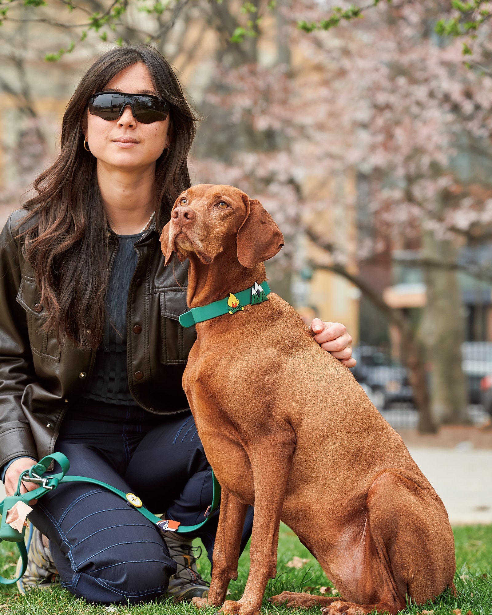 Dog Flair Pack - Image 18
