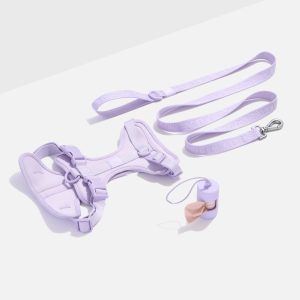 Cushioned Harness + Lightweight Leash Walk Kit