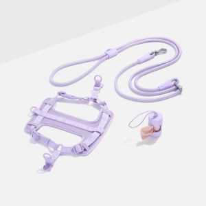 Step-In Harness + Hands-Free Rope Leash Walk Kit