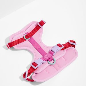 Cushioned Dog Harness
