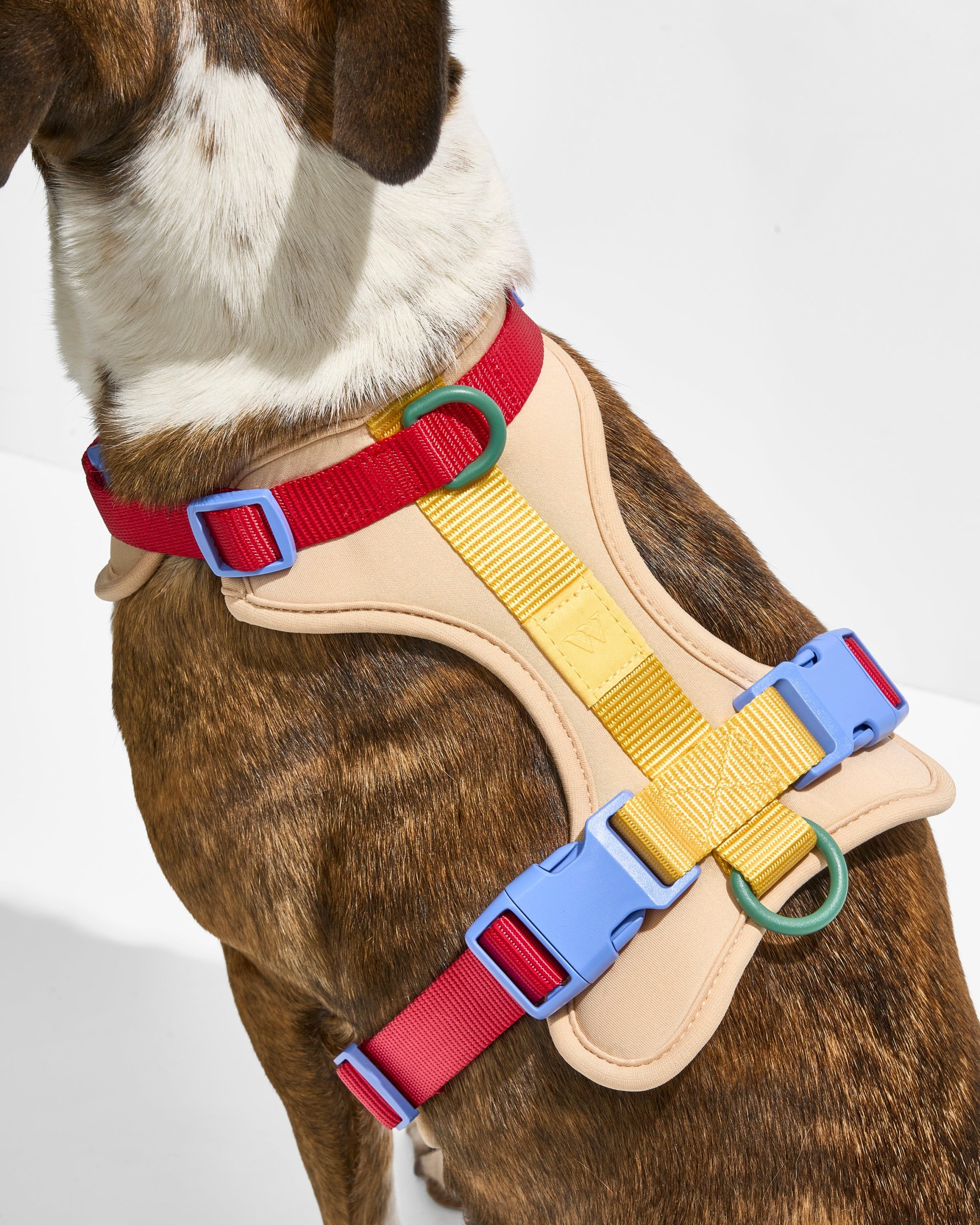 Cushioned Dog Harness - Image 10