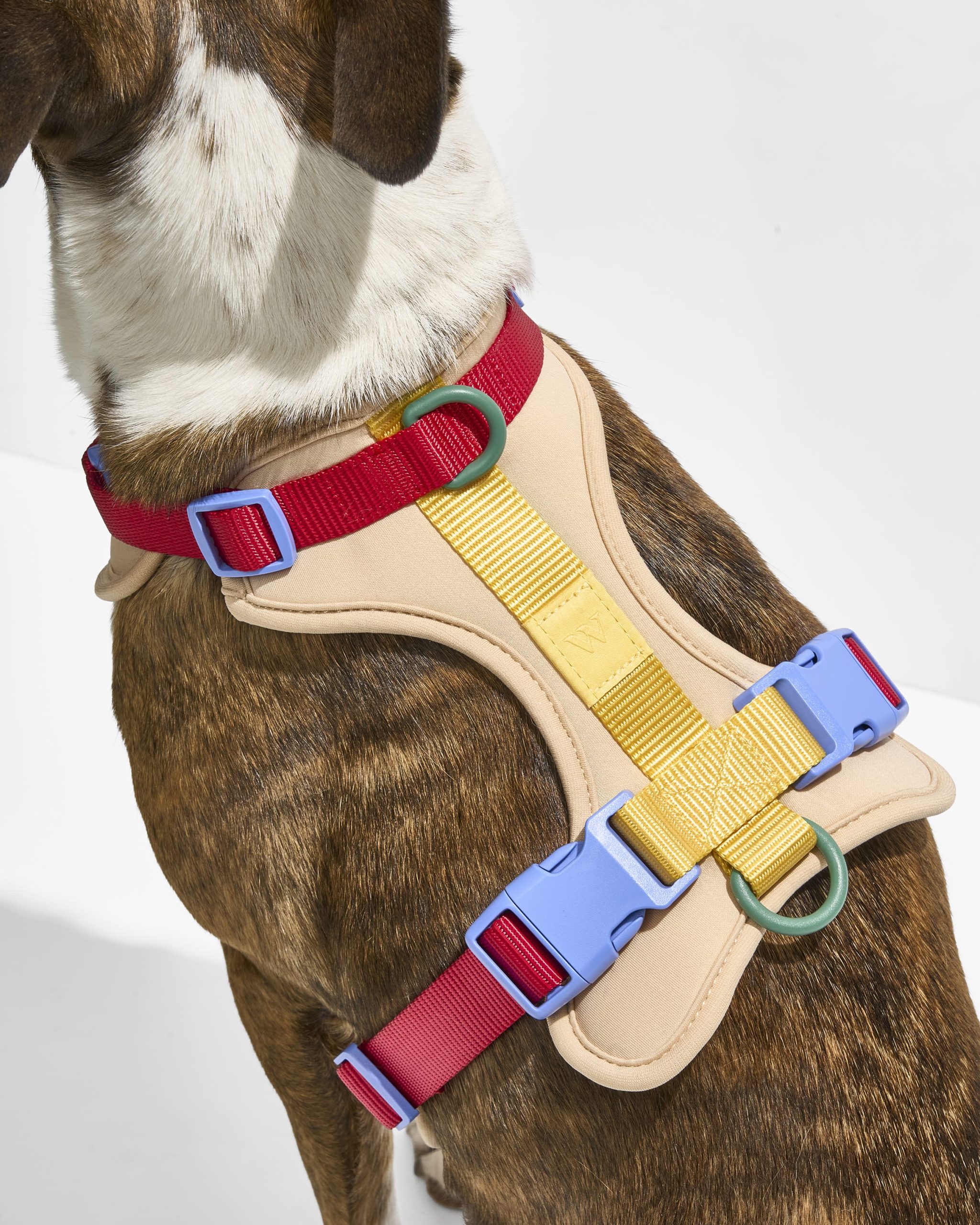 Cushioned Harness + Waterproof Leash Walk Kit - Image 3