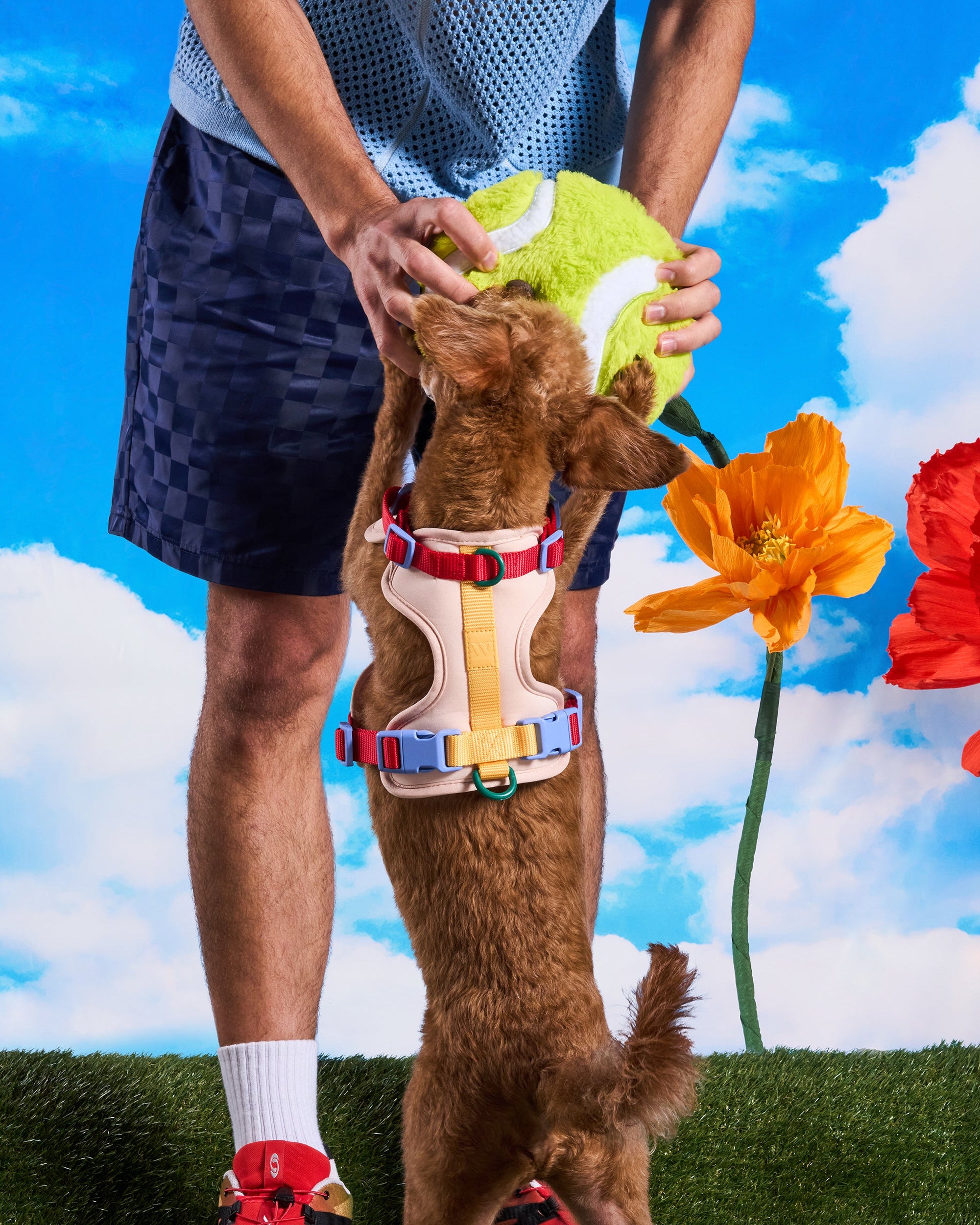 Playful Plush Dog Toy - Image 11